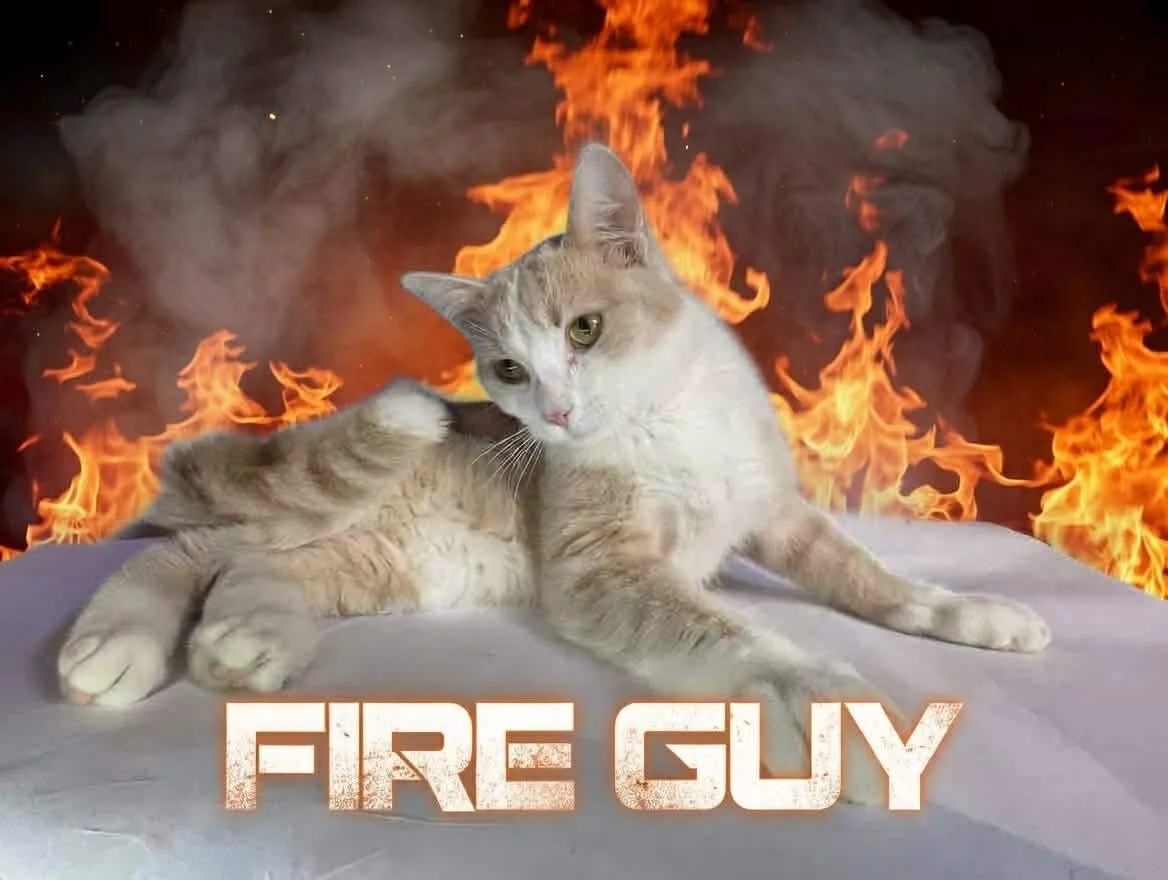 Fire Guy 1.jpg