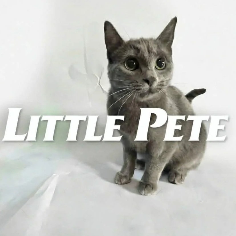 Little+Pete+1.jpg