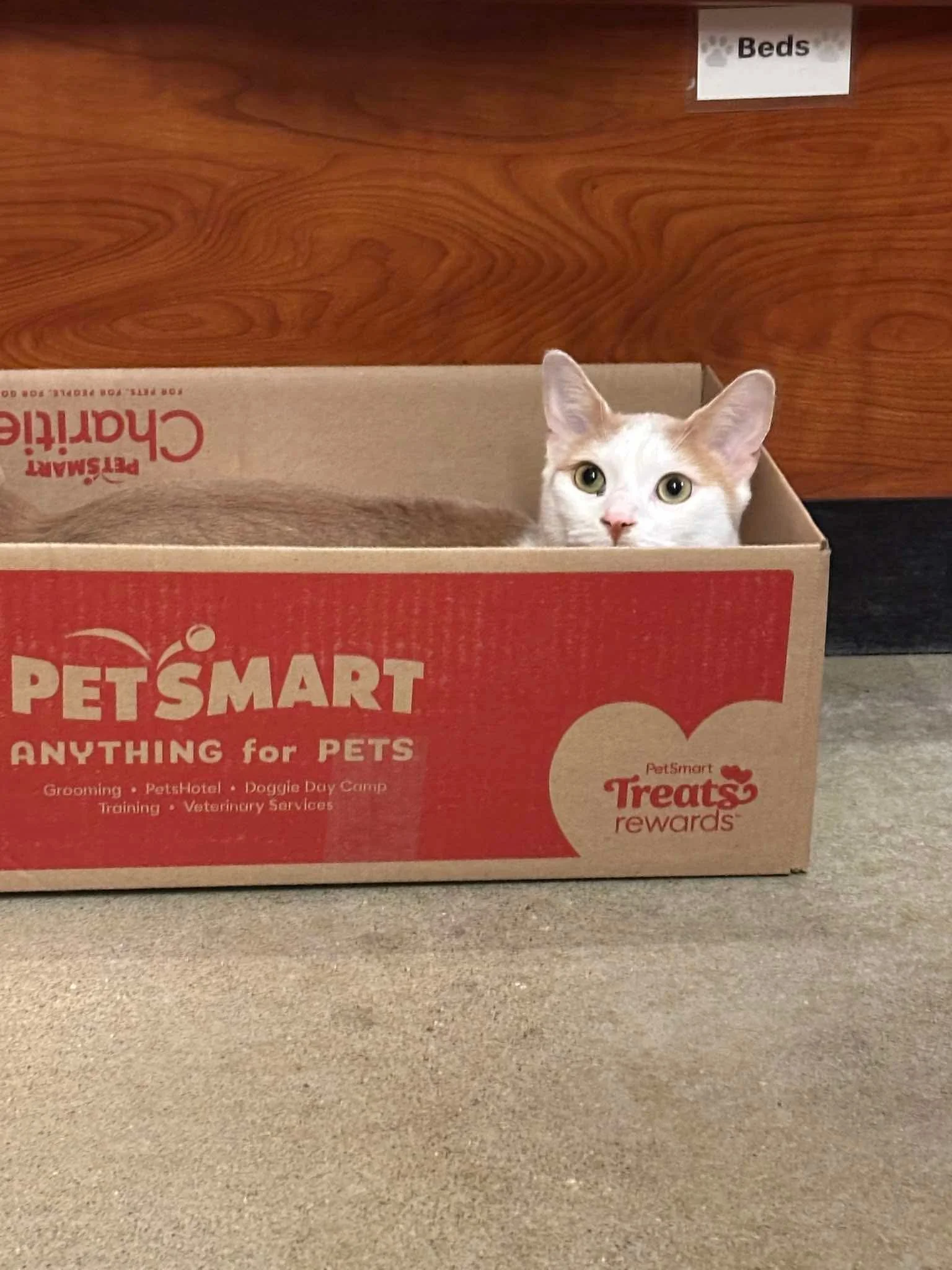Catrick Swayze 15.jpeg