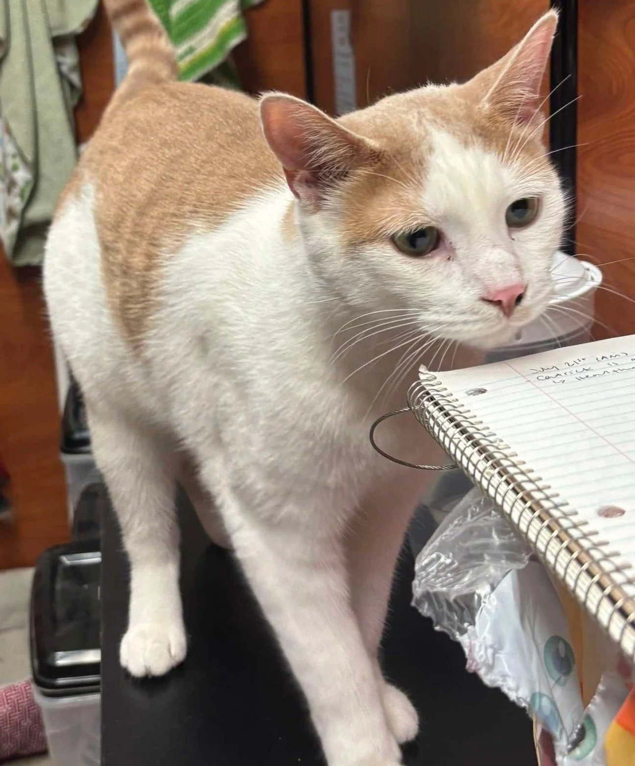 Catrick Swayze 13.jpeg