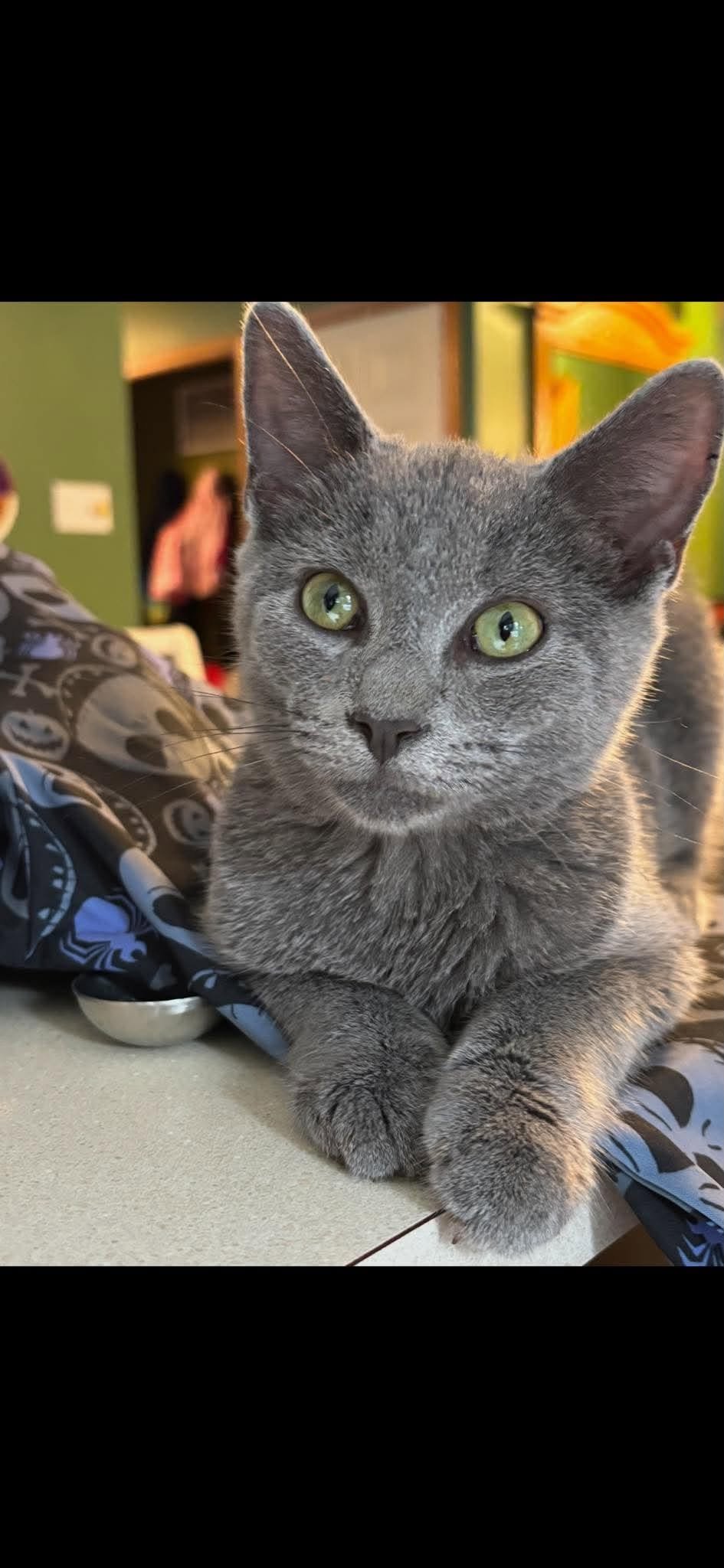 Smokey 10.jpg