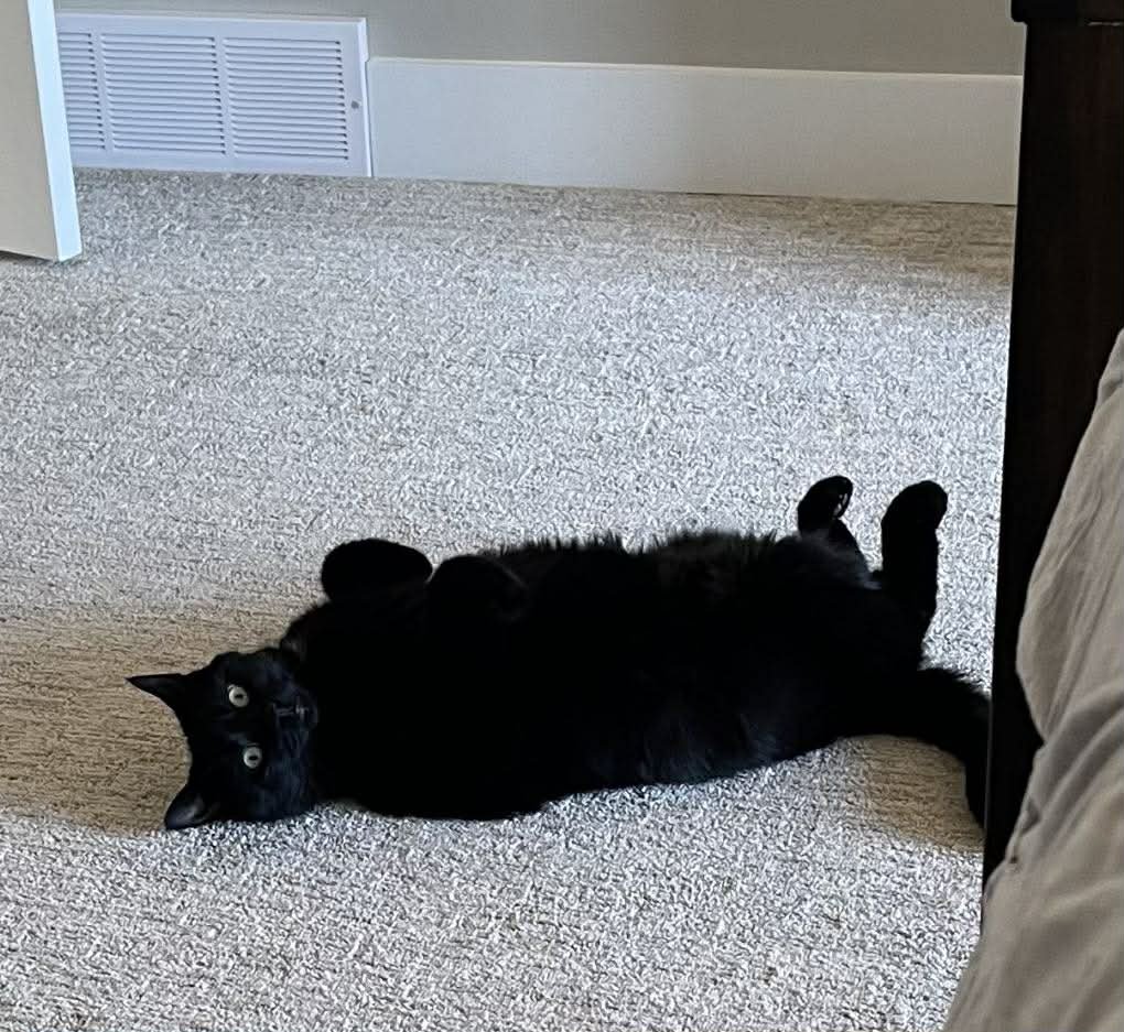 Bailey 2.jpg