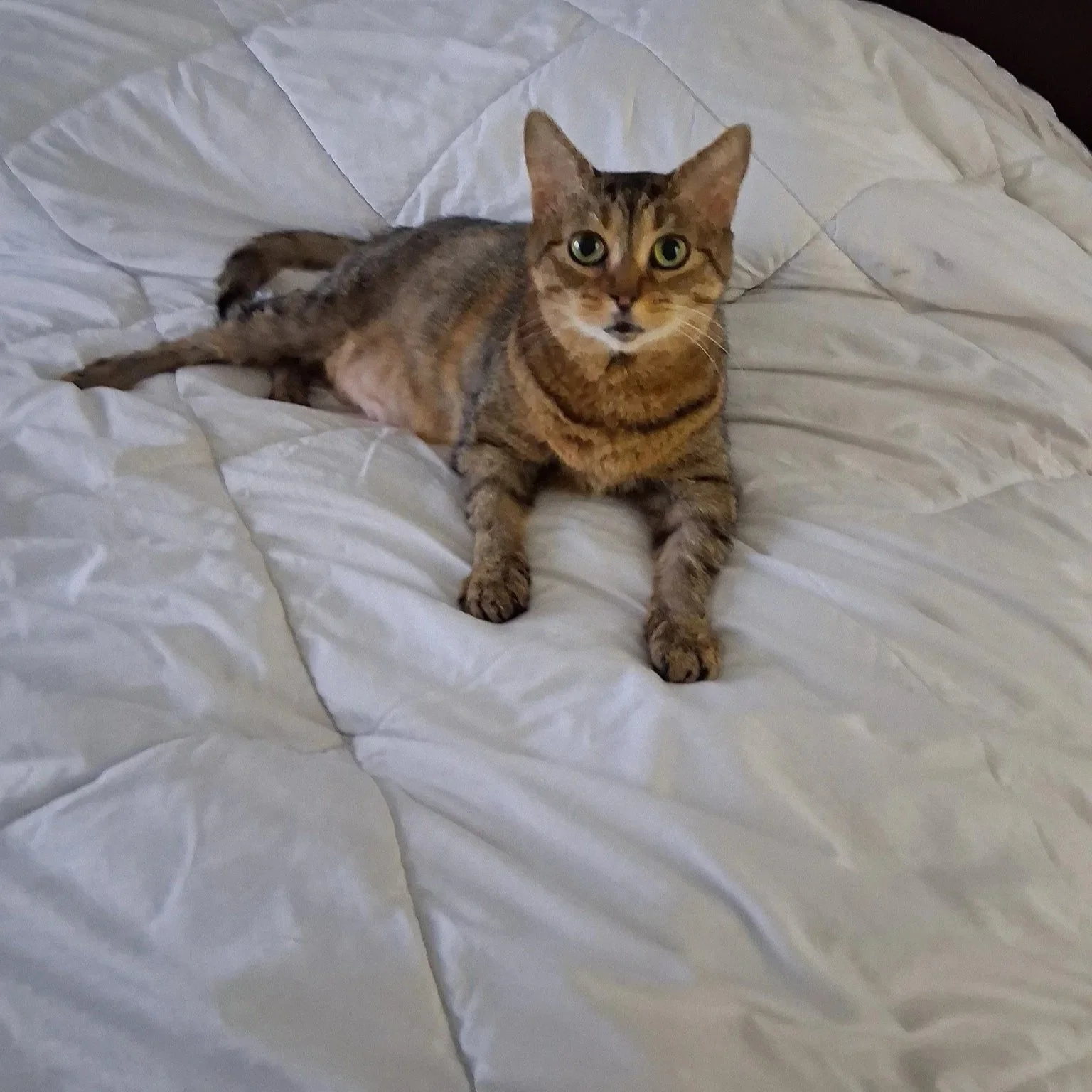 Minew+at+home.jpg