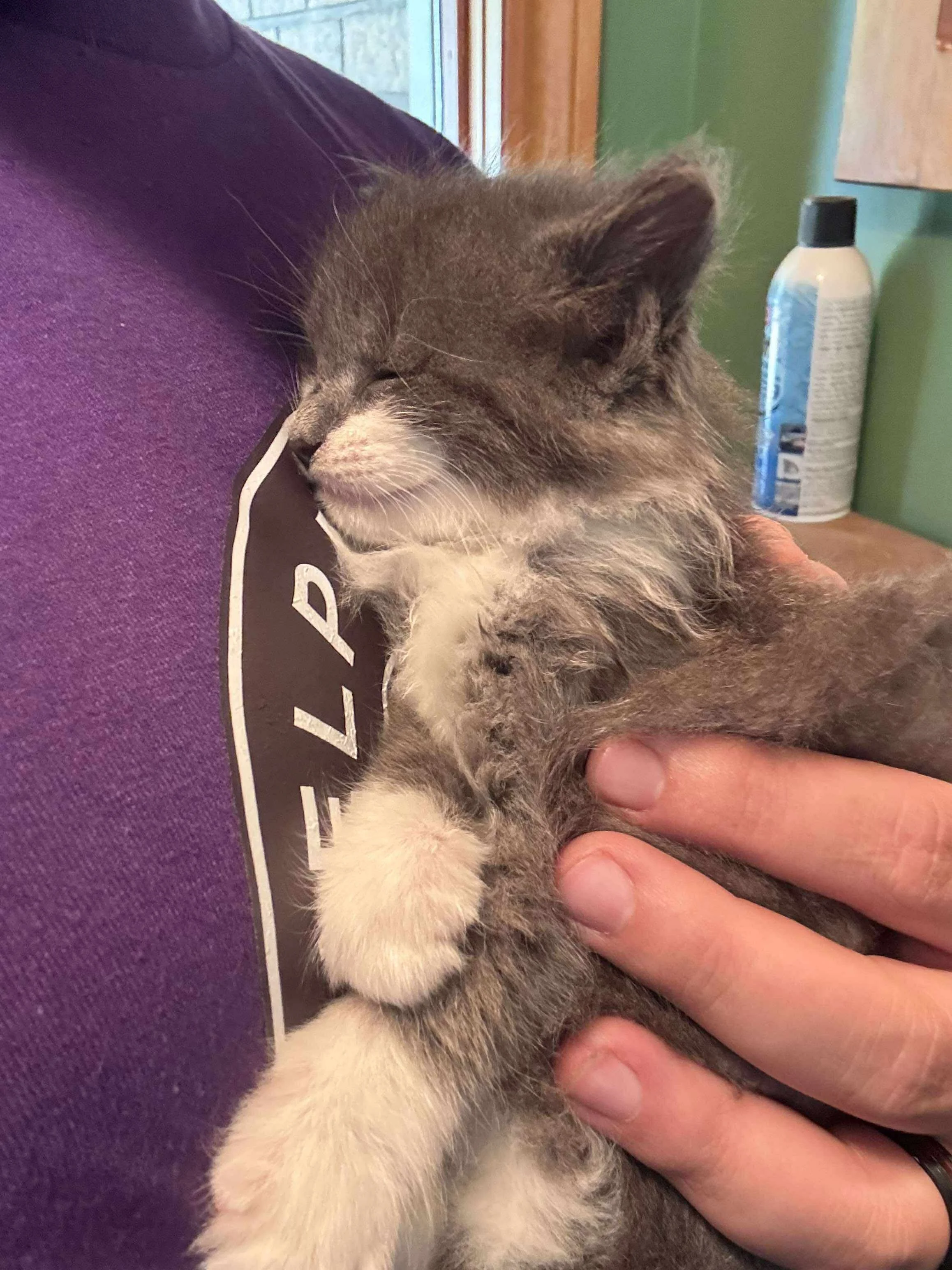 Gandalf the Grey 12.JPG