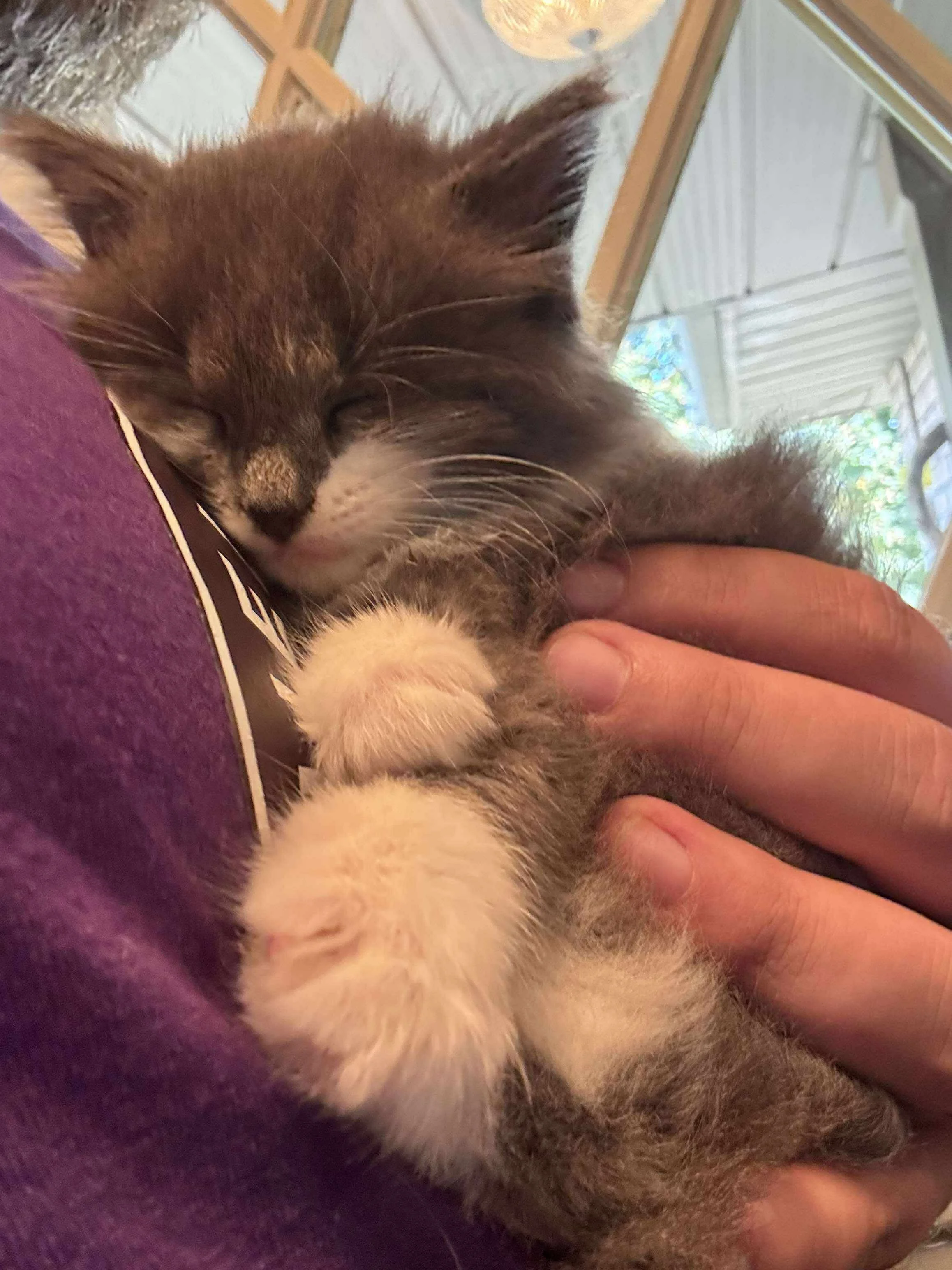 Gandalf the Grey 11.JPG