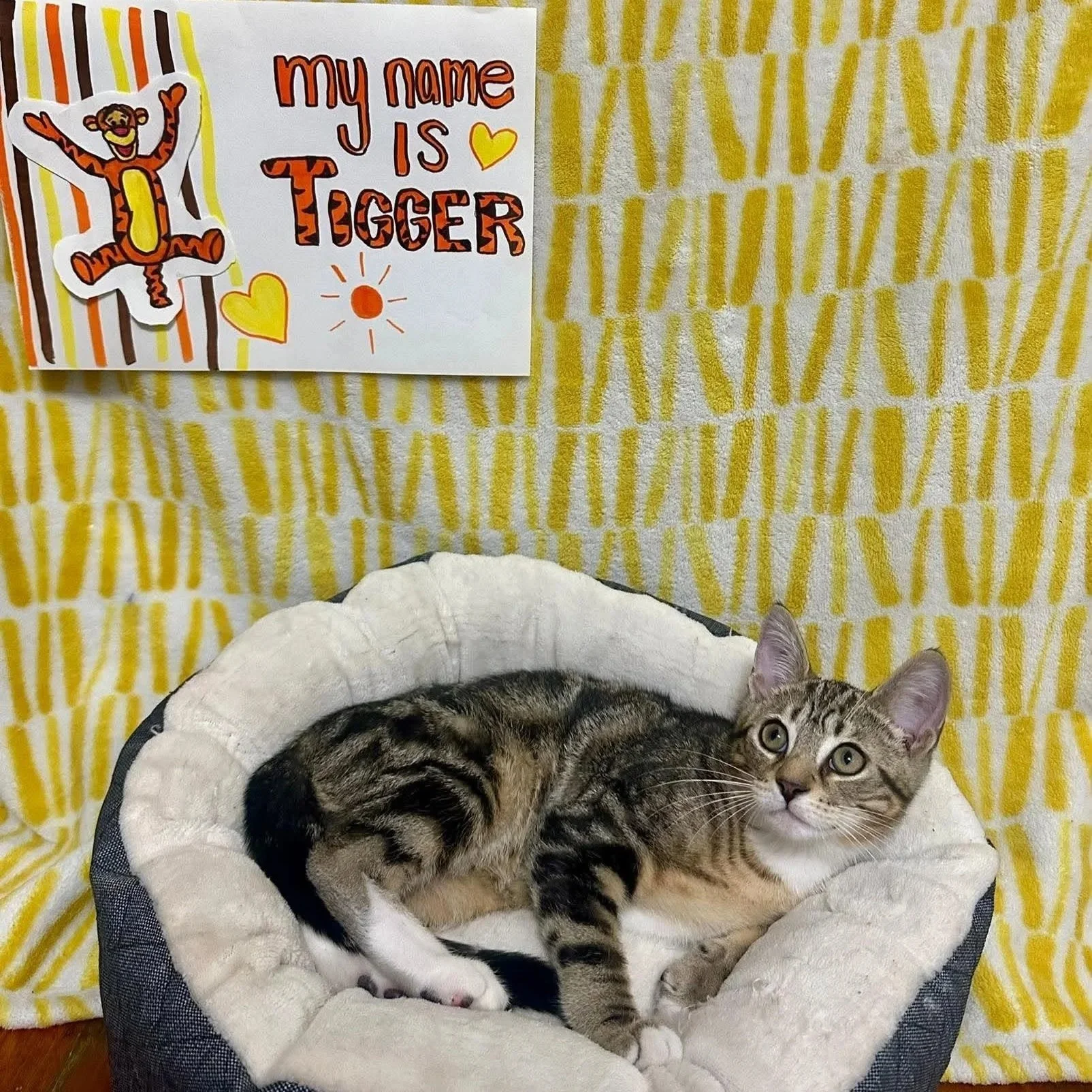Tigger 2