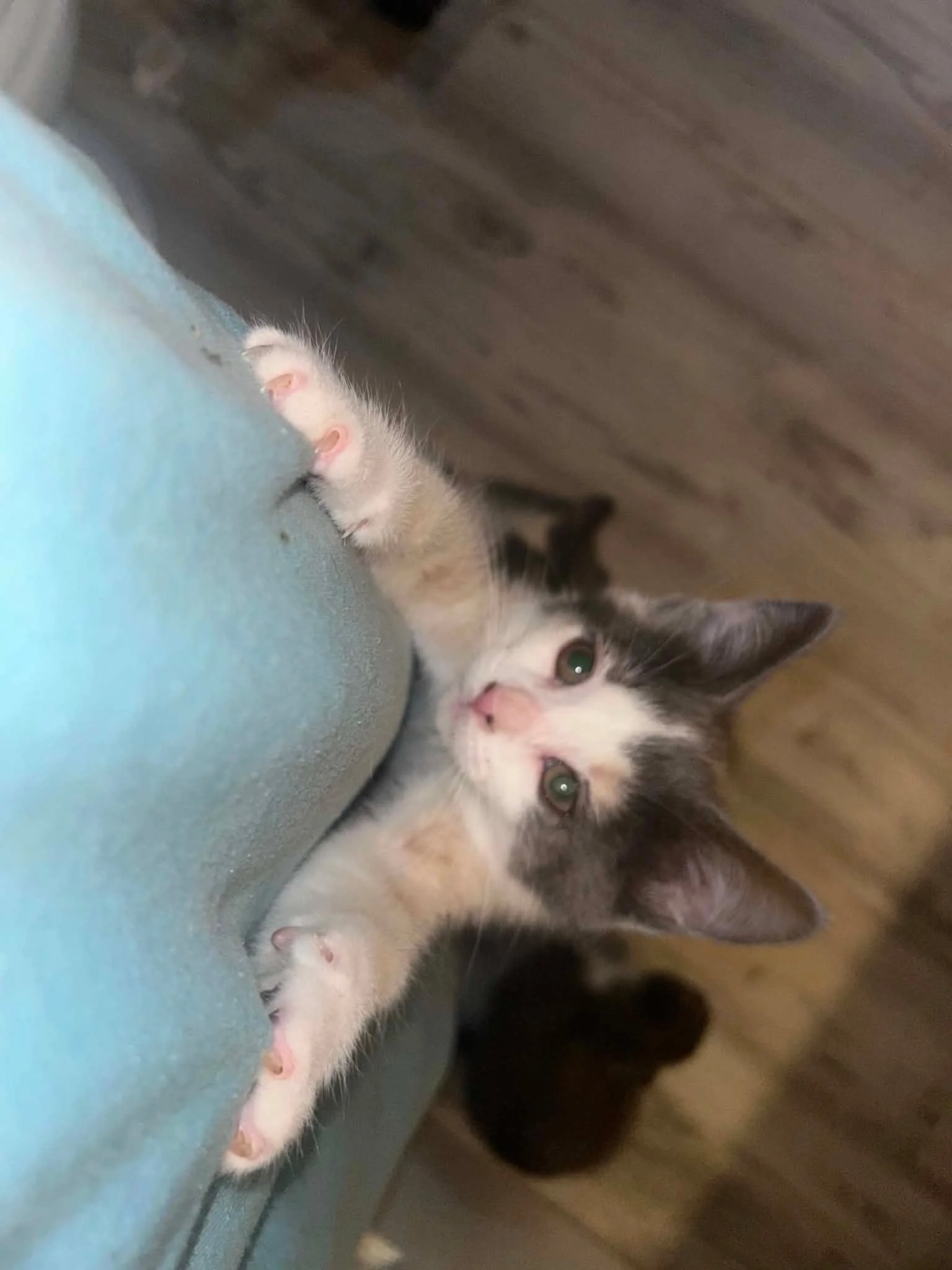 Butternut 5.jpg