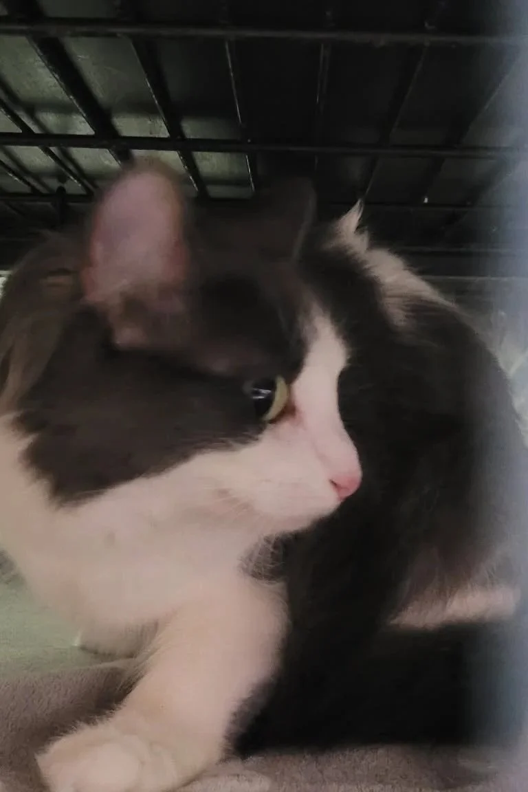 Floof+2.jpg