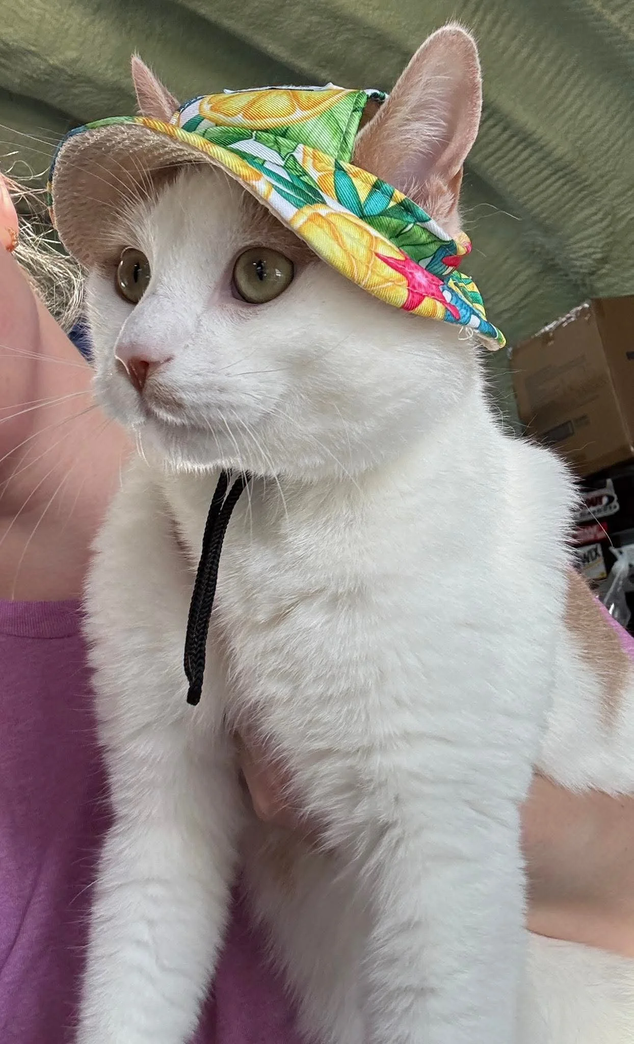 Catrick 9.jpeg