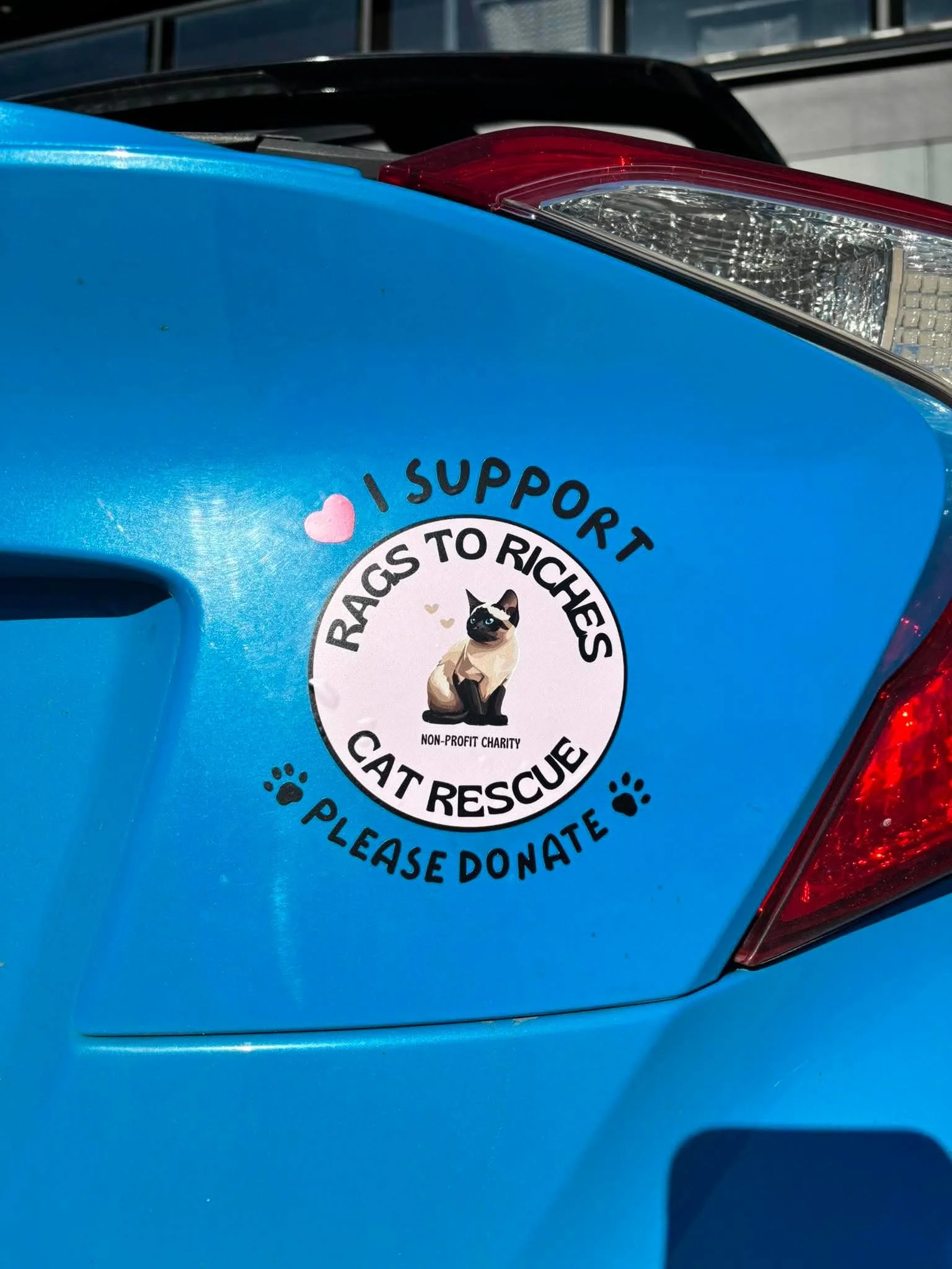 Decal on car.jpeg