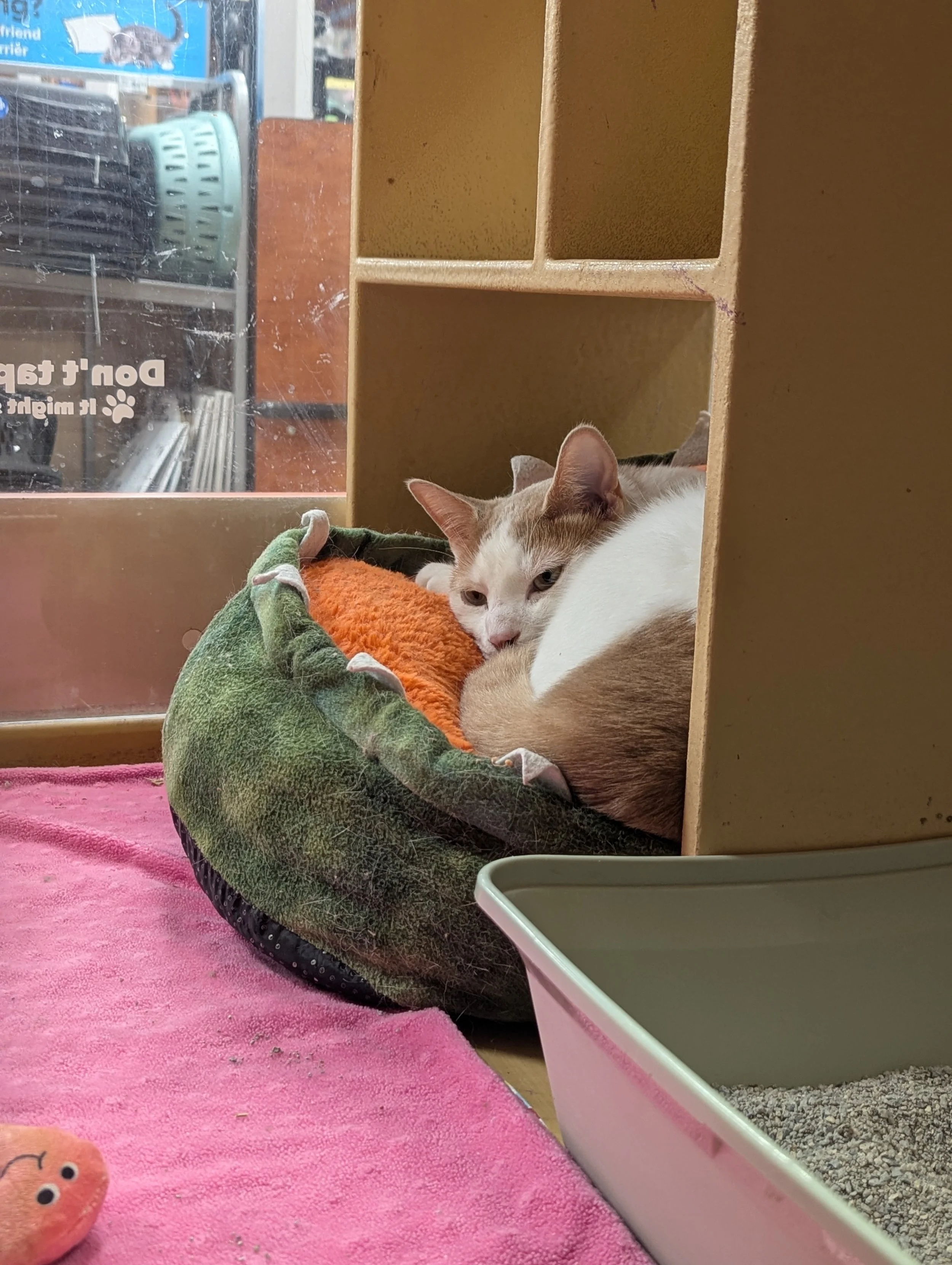 Catrick Swayze 11.jpg