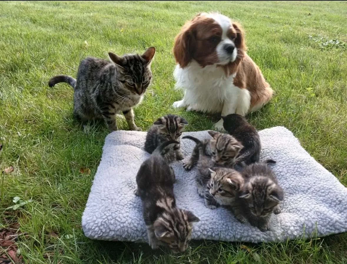 Smoothie & family.jpeg