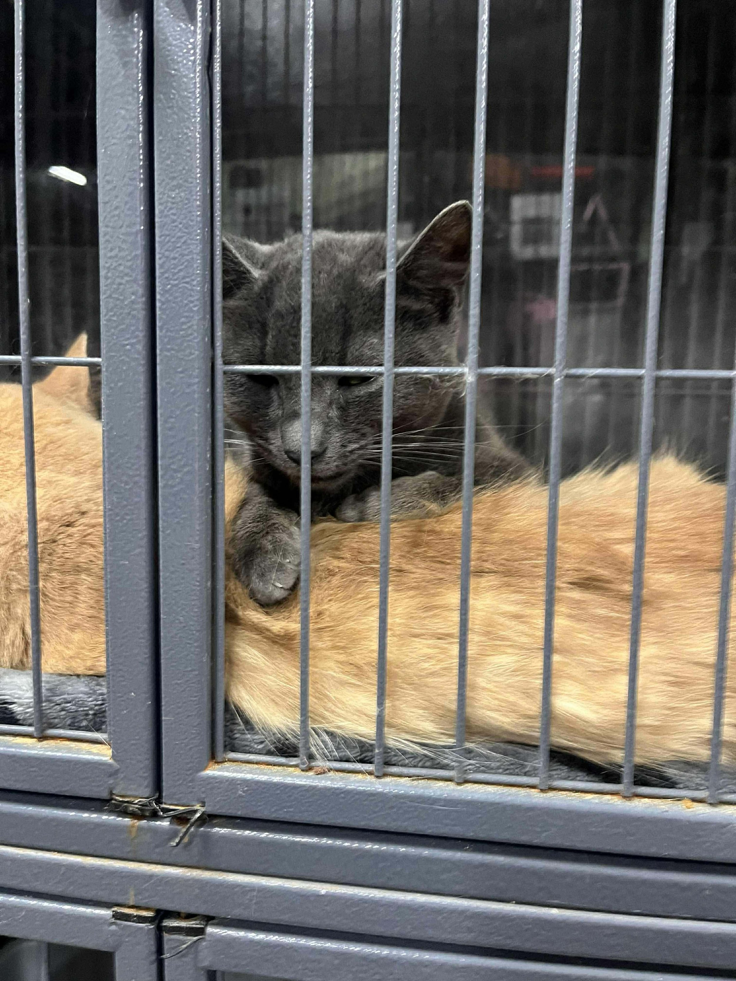 Pedro & Lorenzo.jpeg