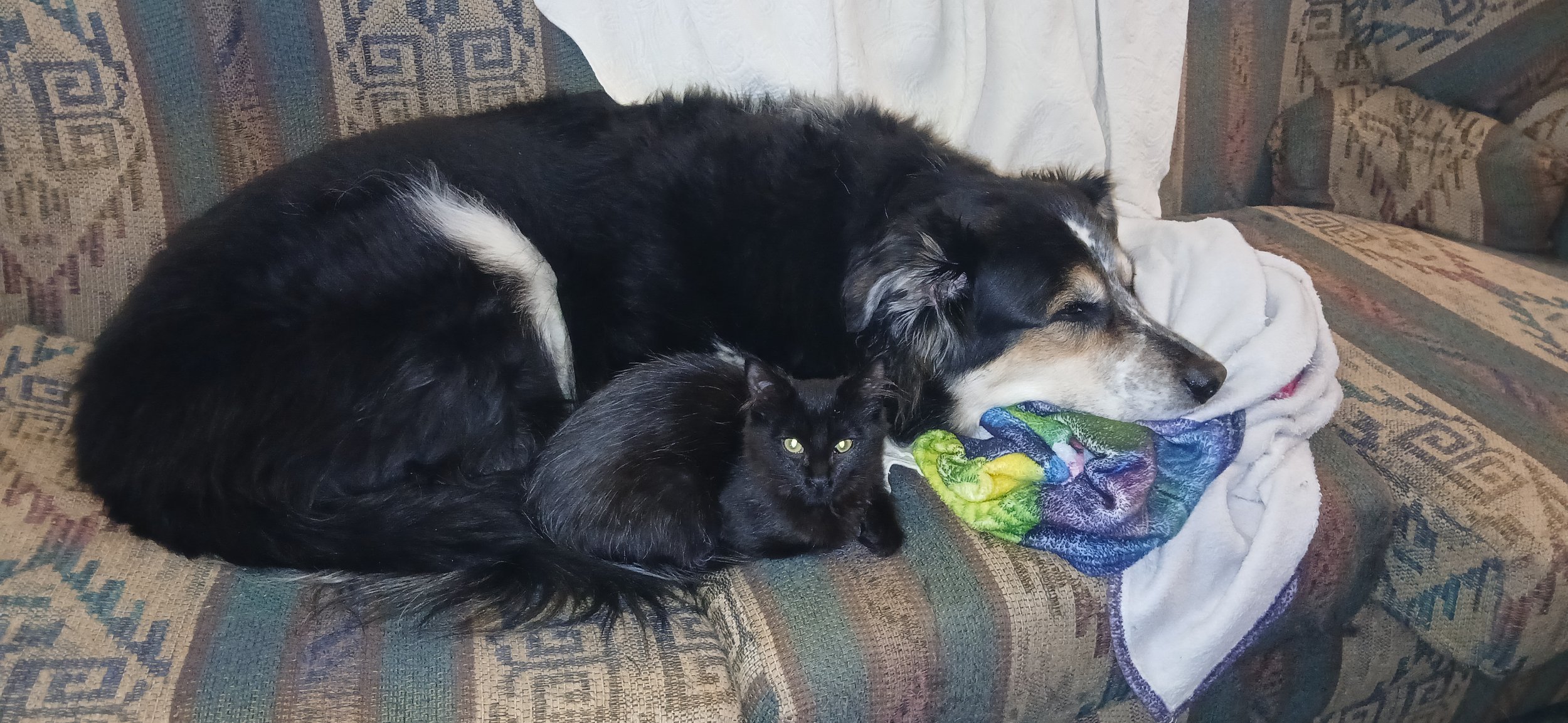 Princess Mini Meow.jpg