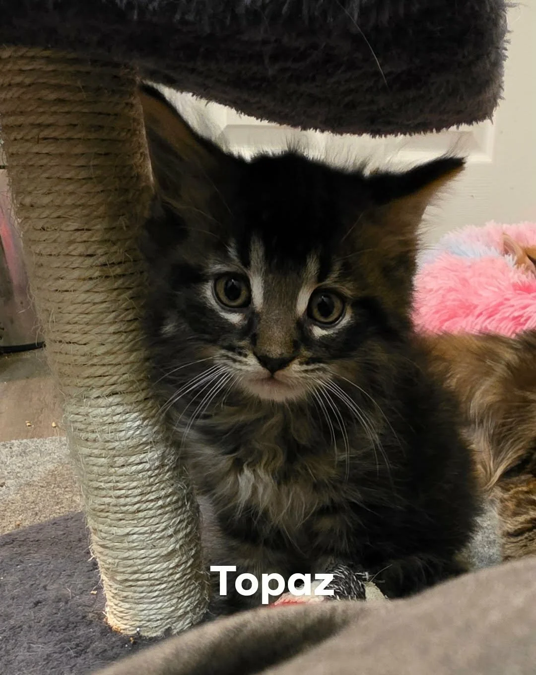 Topaz