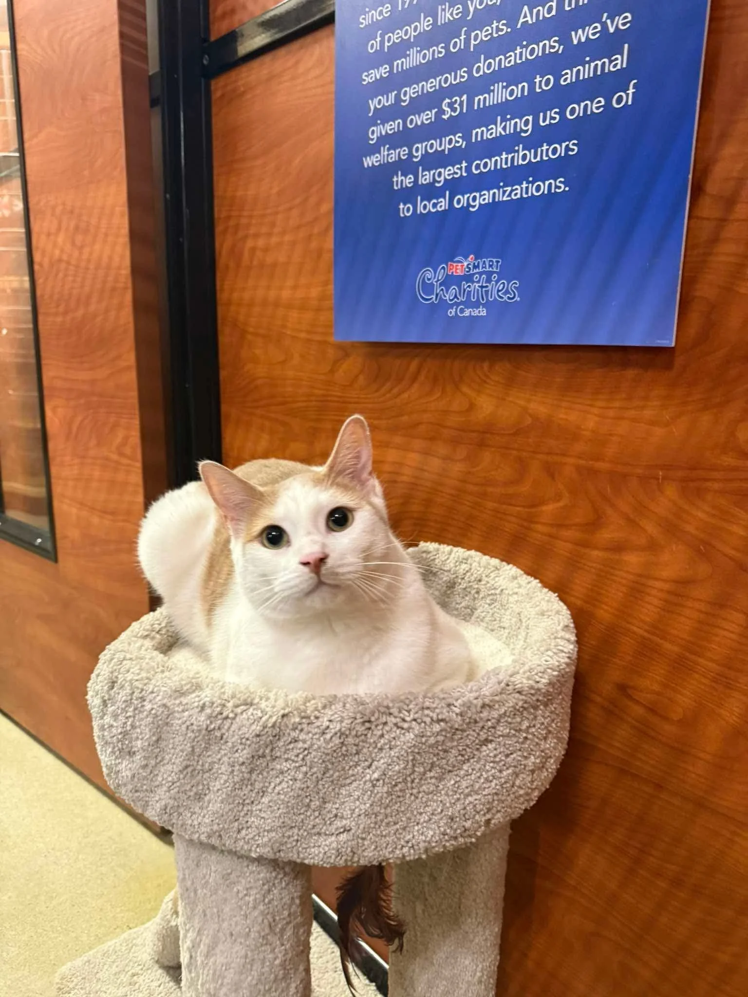 Catrick Swayze