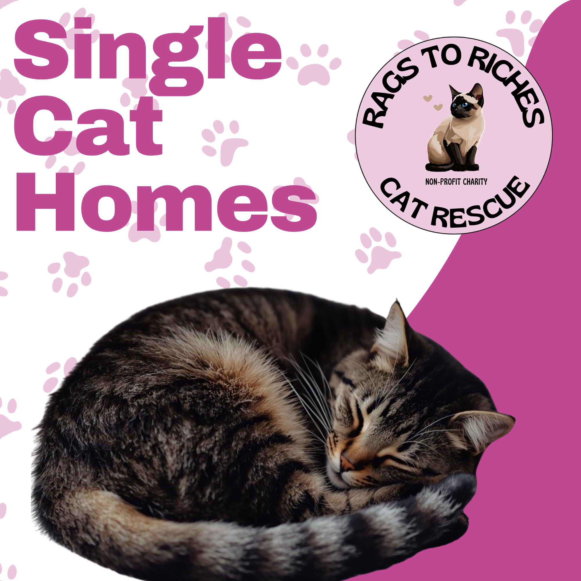 Rags to Riches Cat Rescue