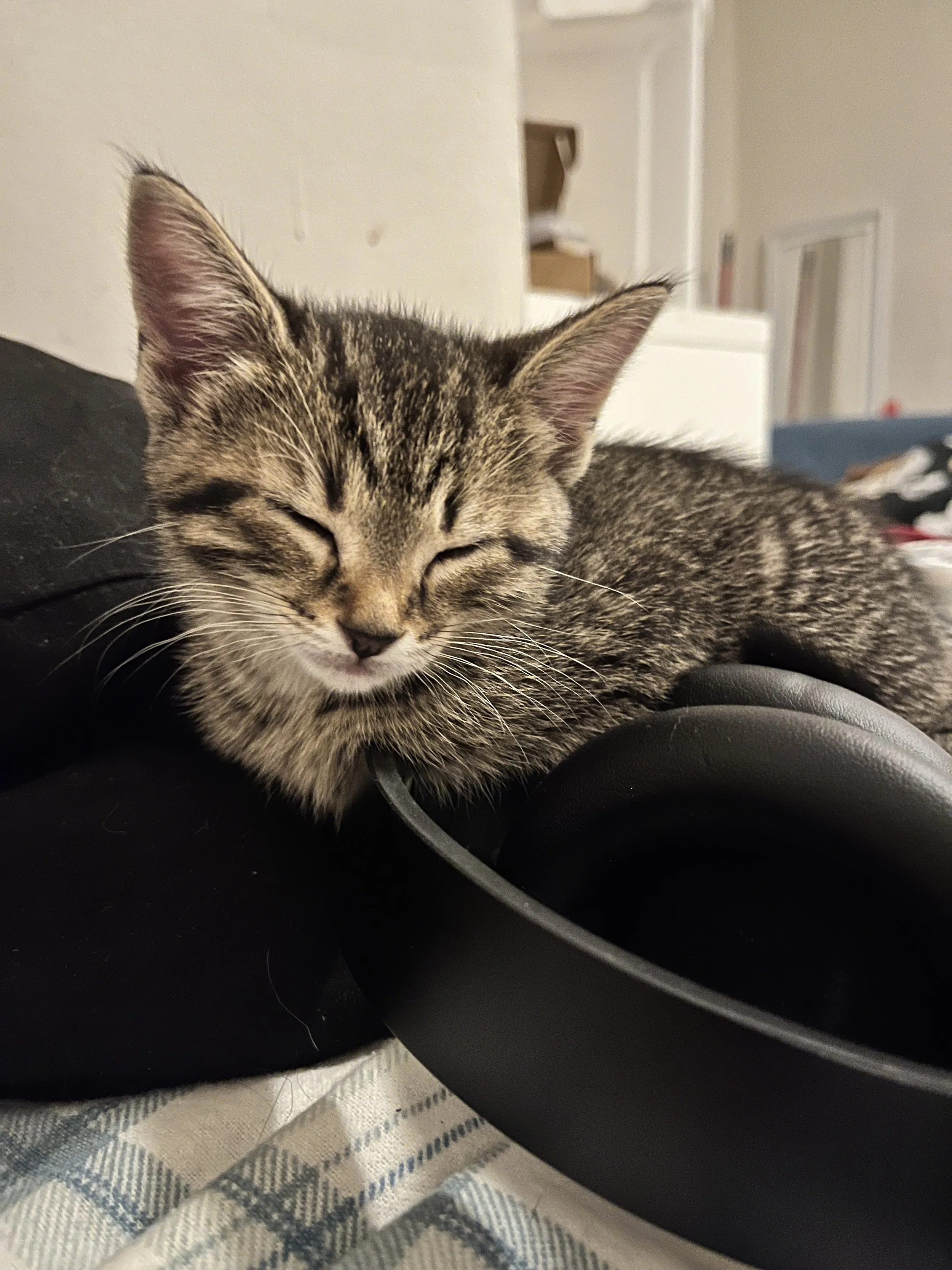Lovey 4.jpg