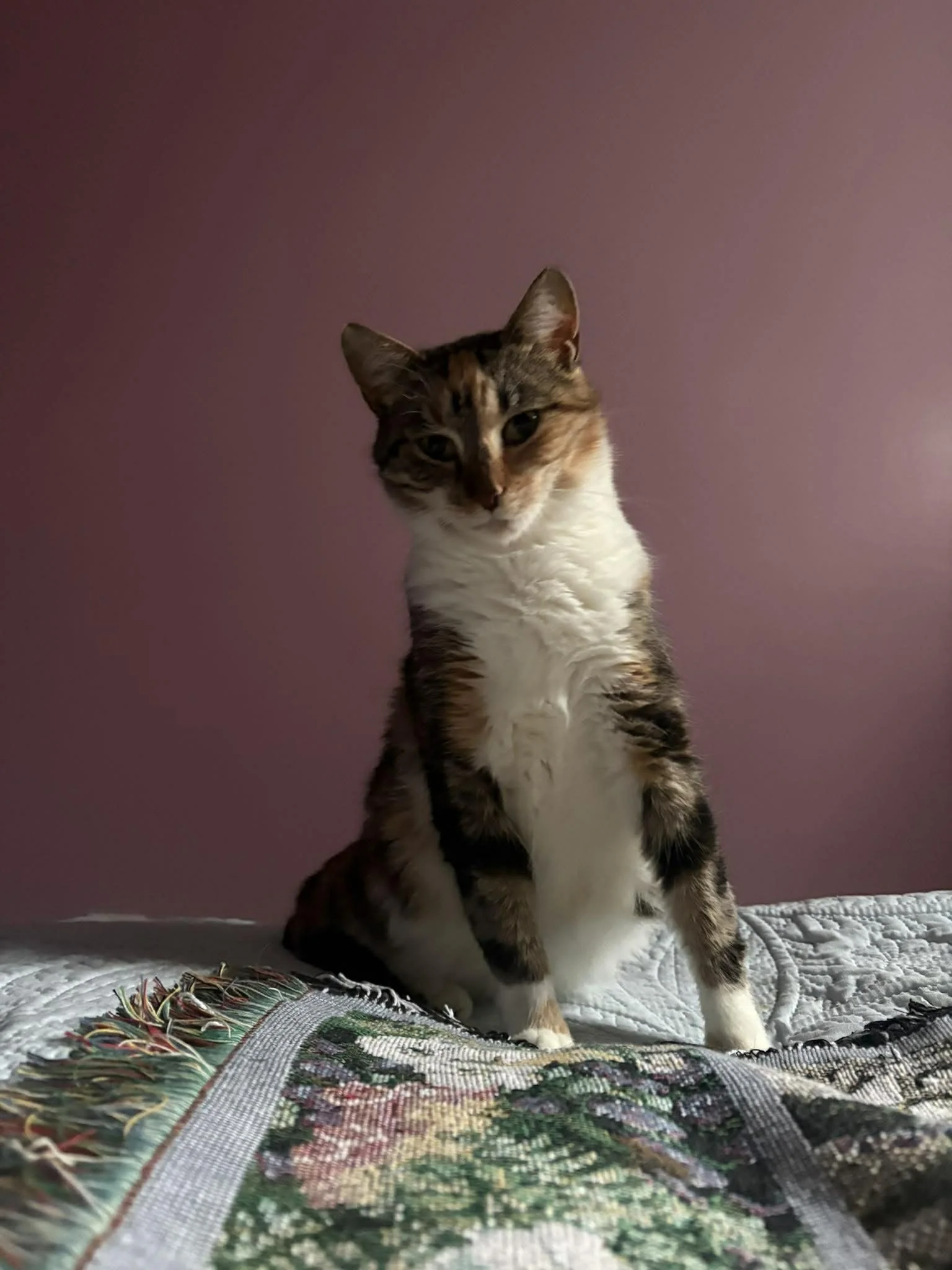 Lucy 1.jpg