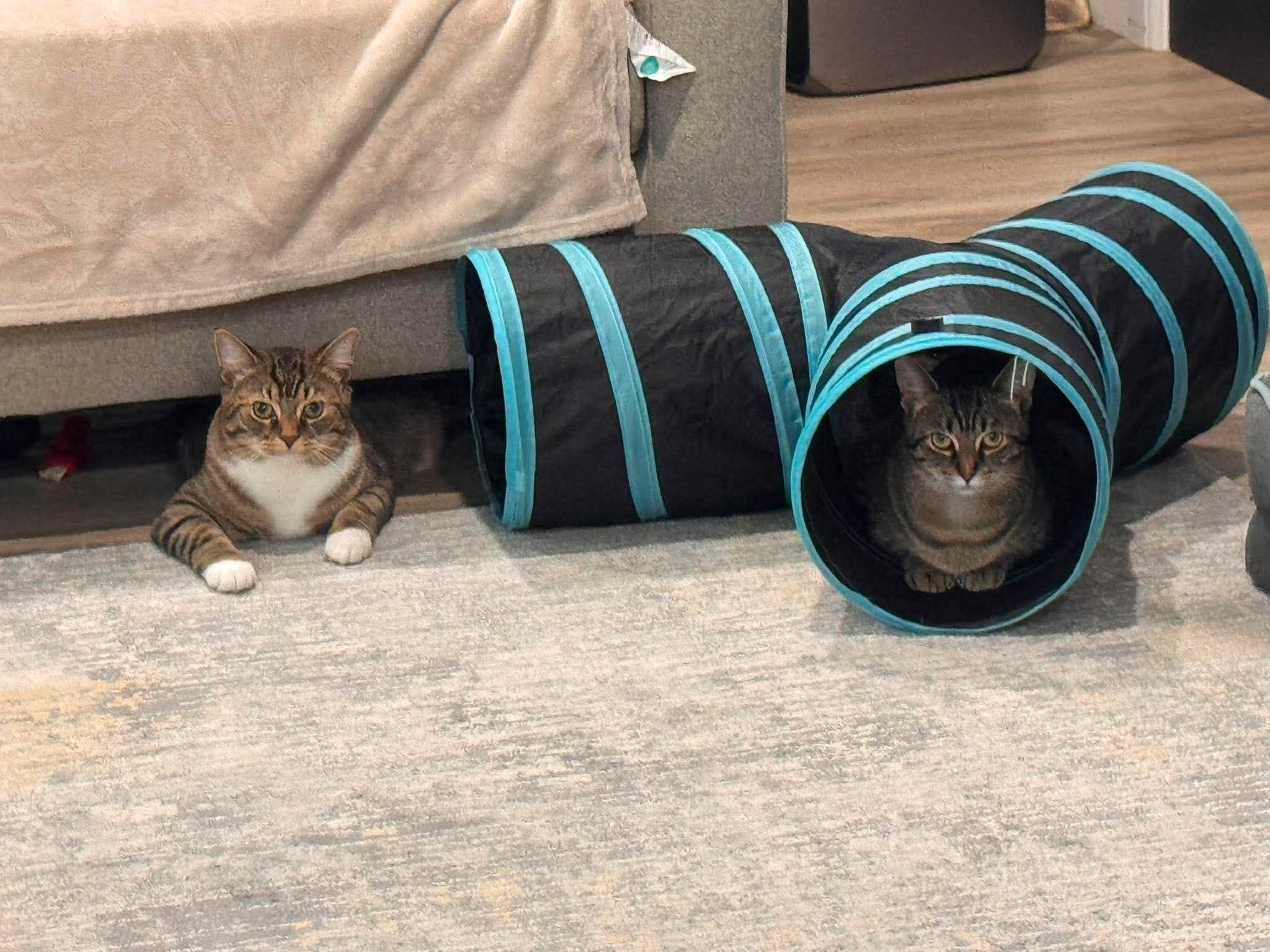 Zen & Jasmine.jpg