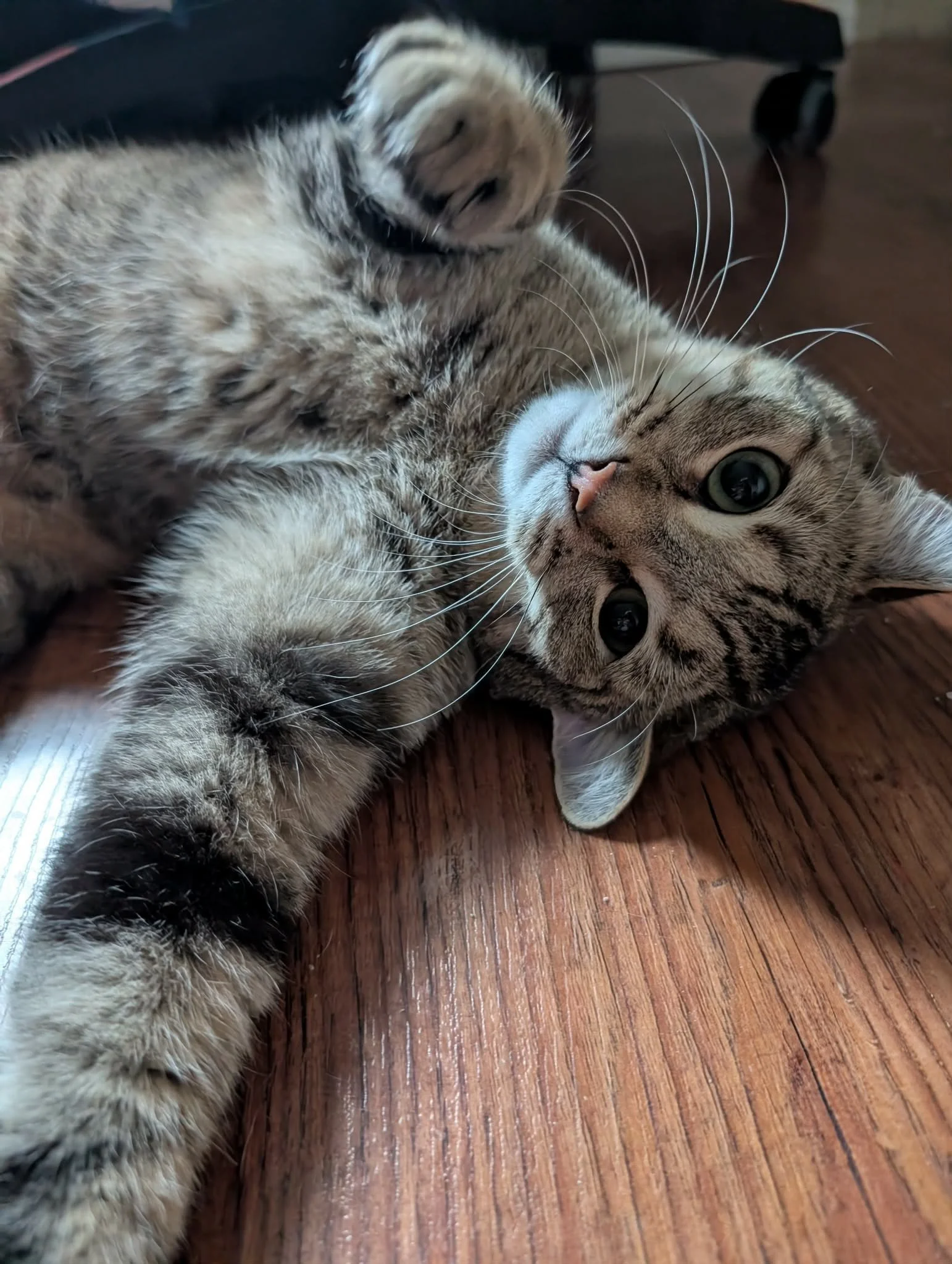 Axle