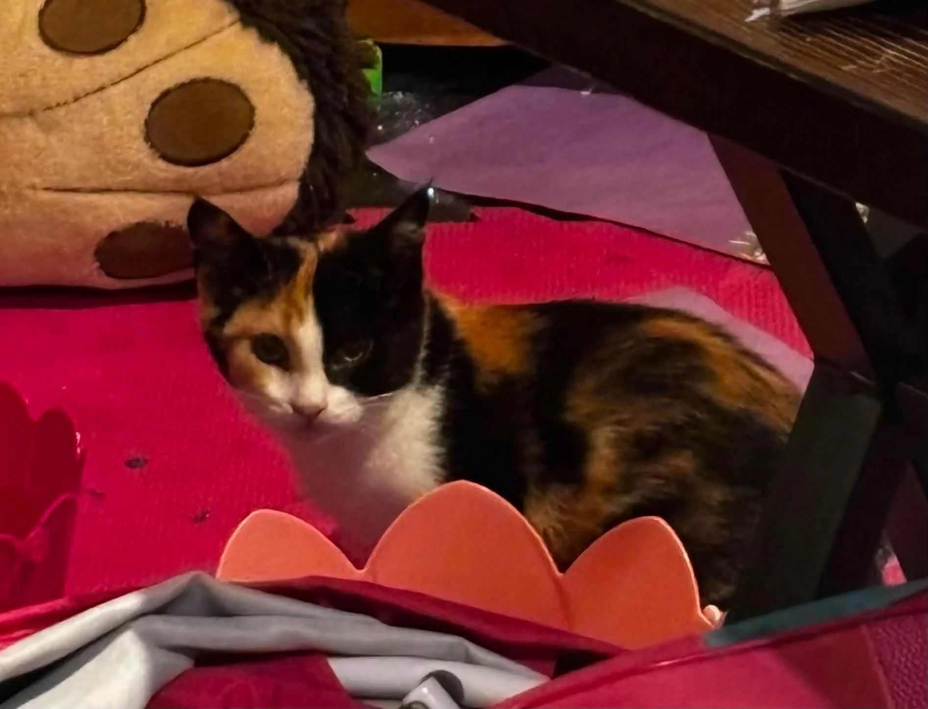 Stampy