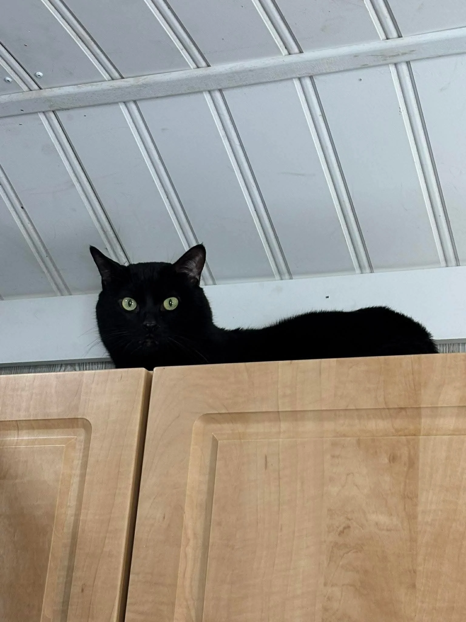 Titan
