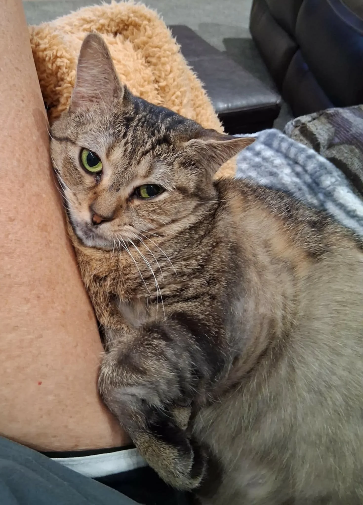 Minew