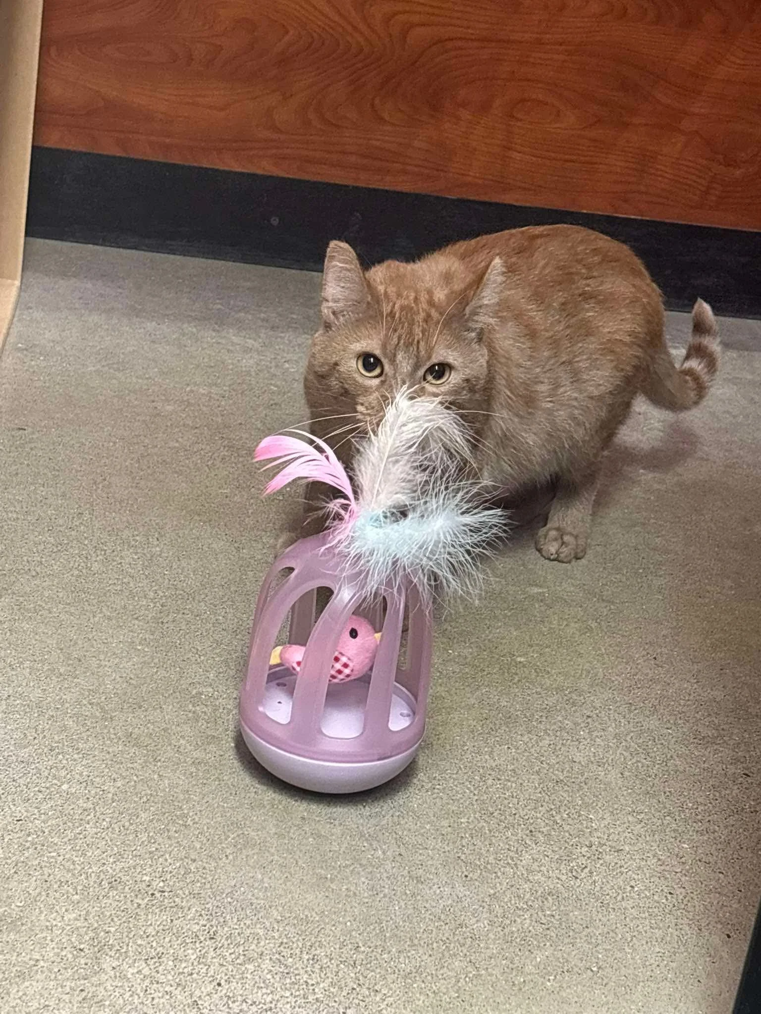Minty 8.jpeg
