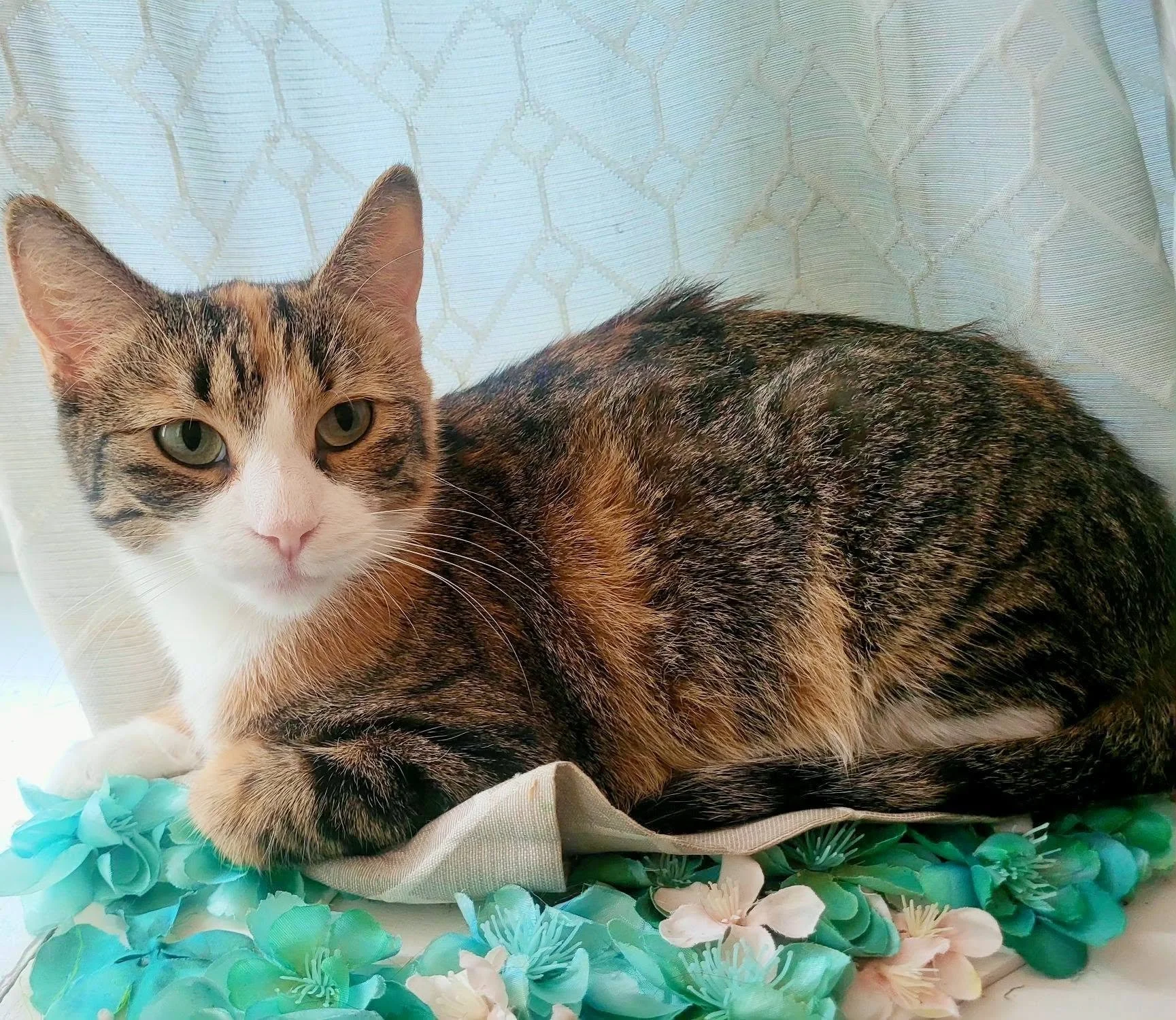 Zoey