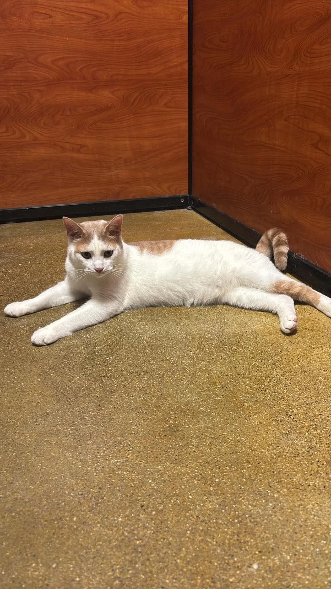 Catrick Swayze 10.jpg