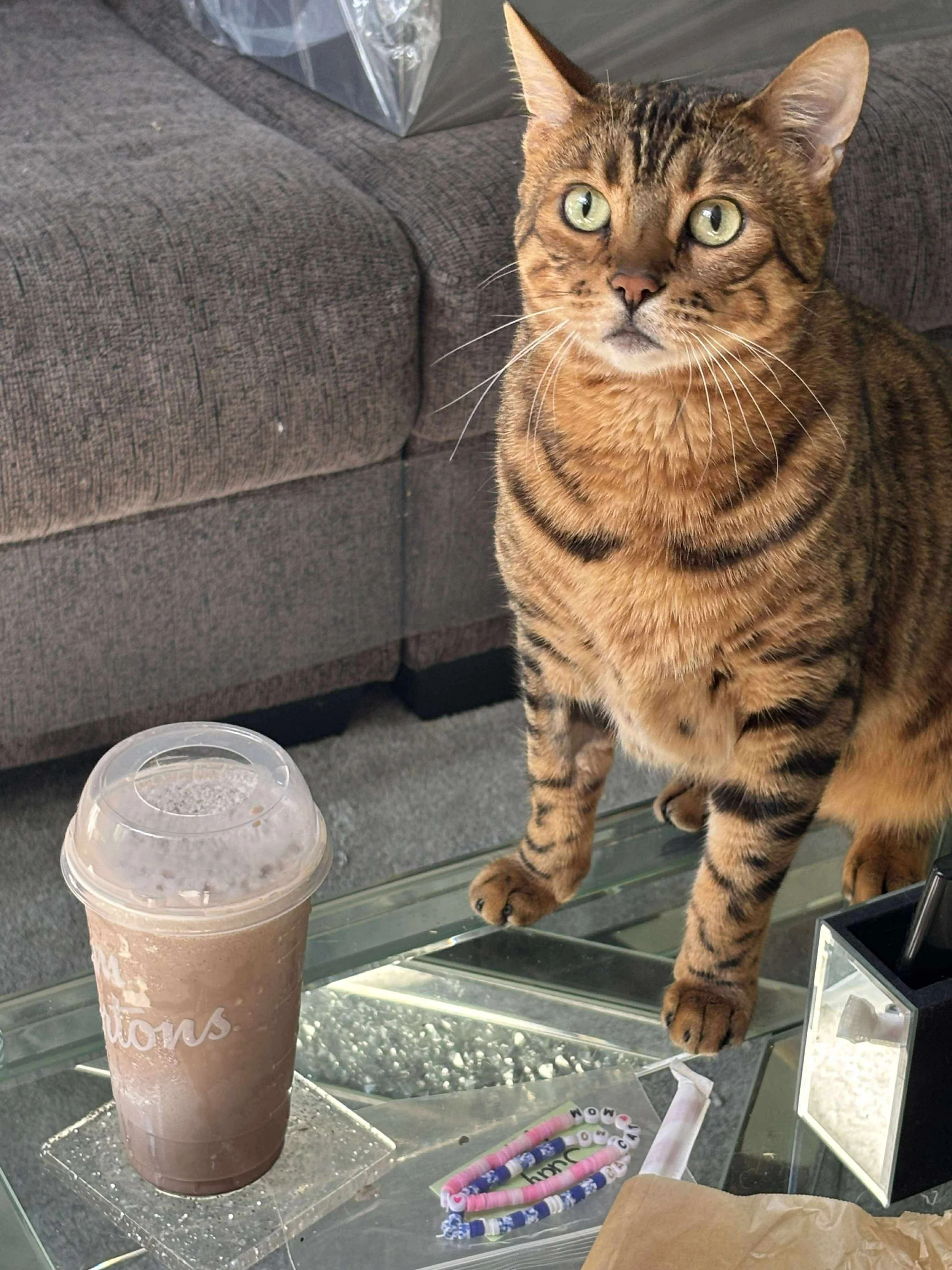 Toretto (bonded with Capone)