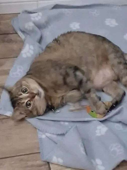 minew+3.jpg