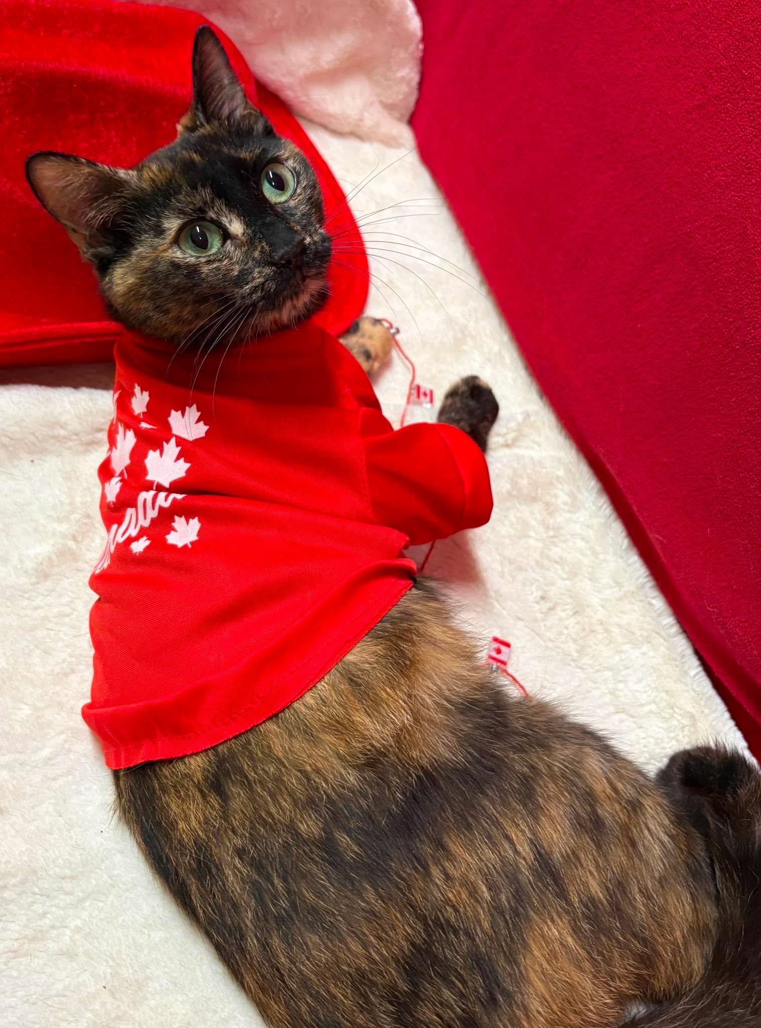 Lucy 10.jpg