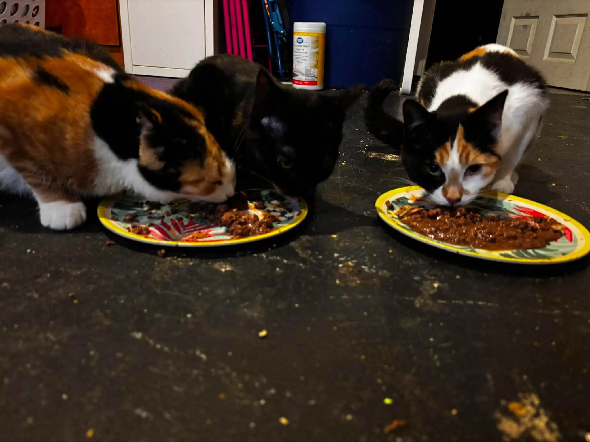 Stampy, magnet & Shredder 2.jpg