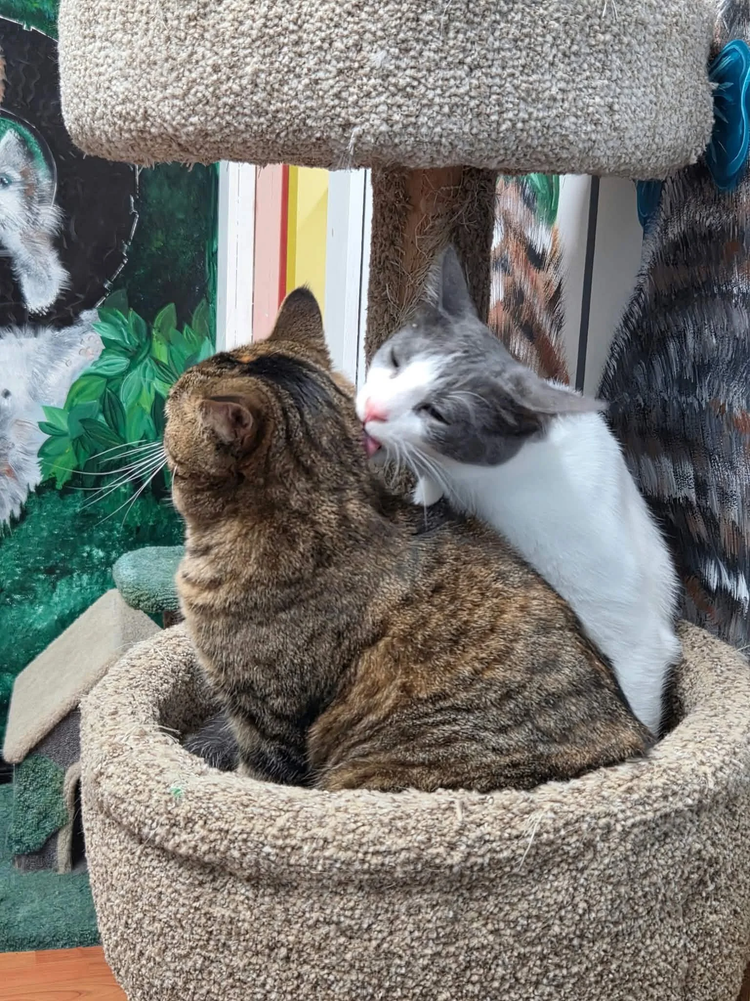 Diamond & Biscotti 4.jpg