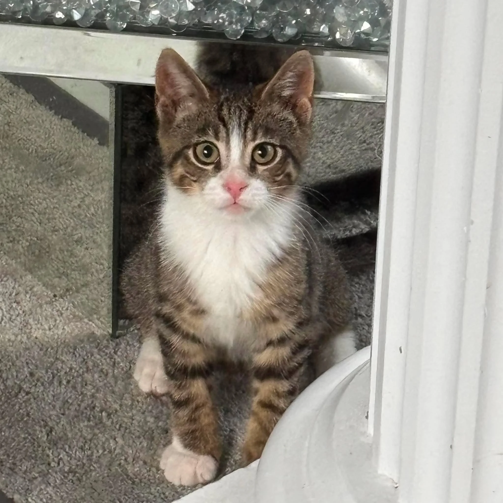 Tiny Tim