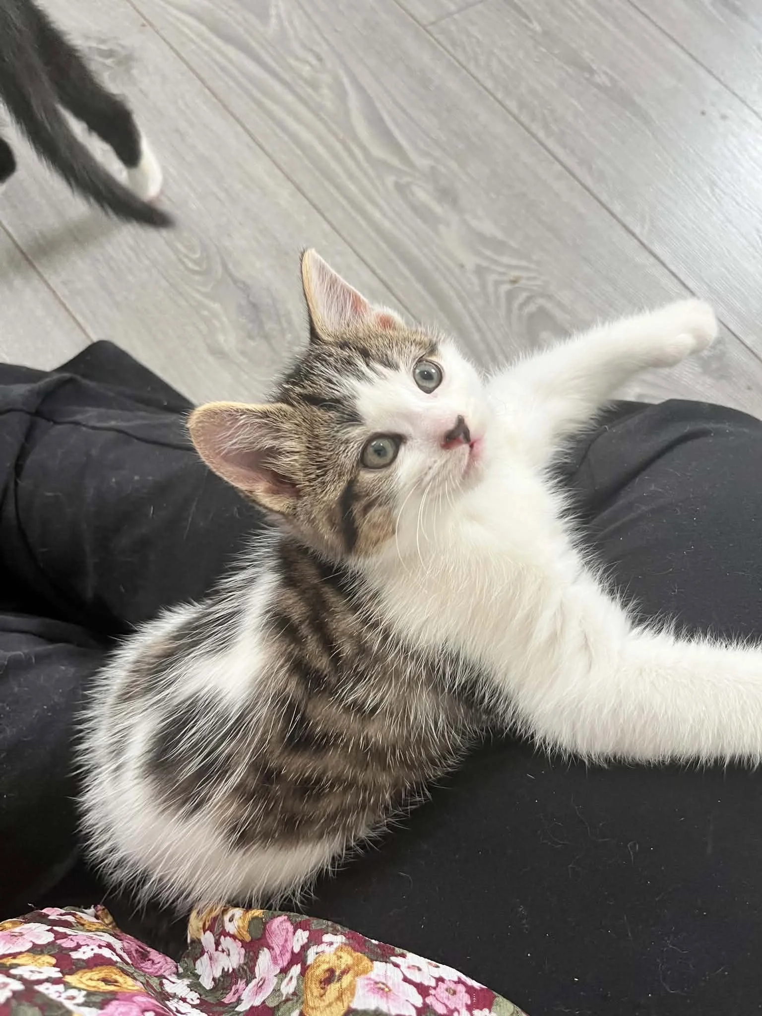 Lilah 7.jpg