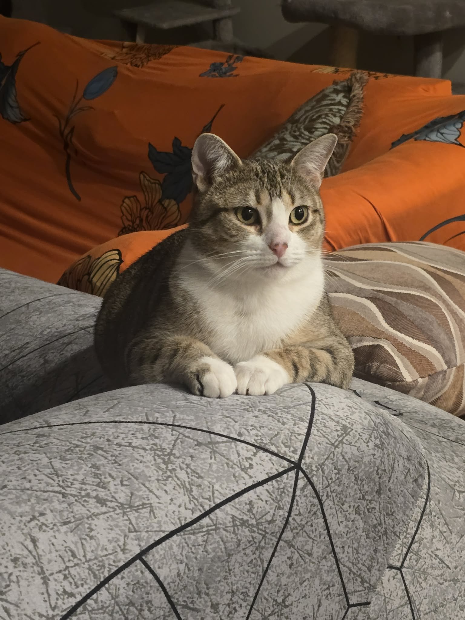 merlot 6.jpeg