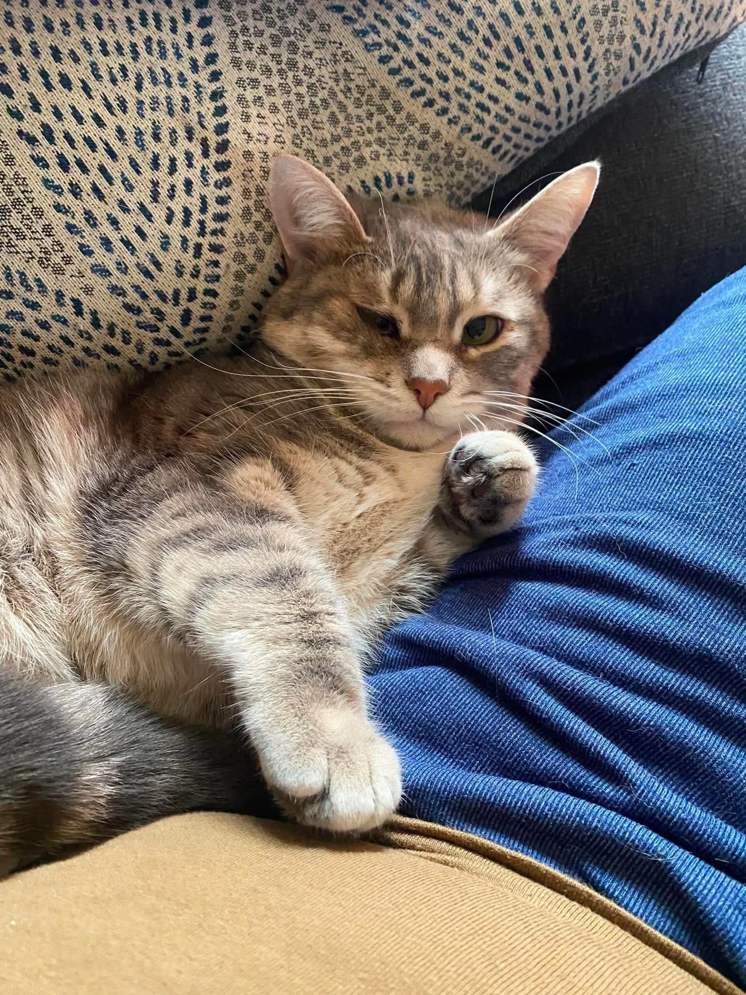 Gabriella 8.jpeg