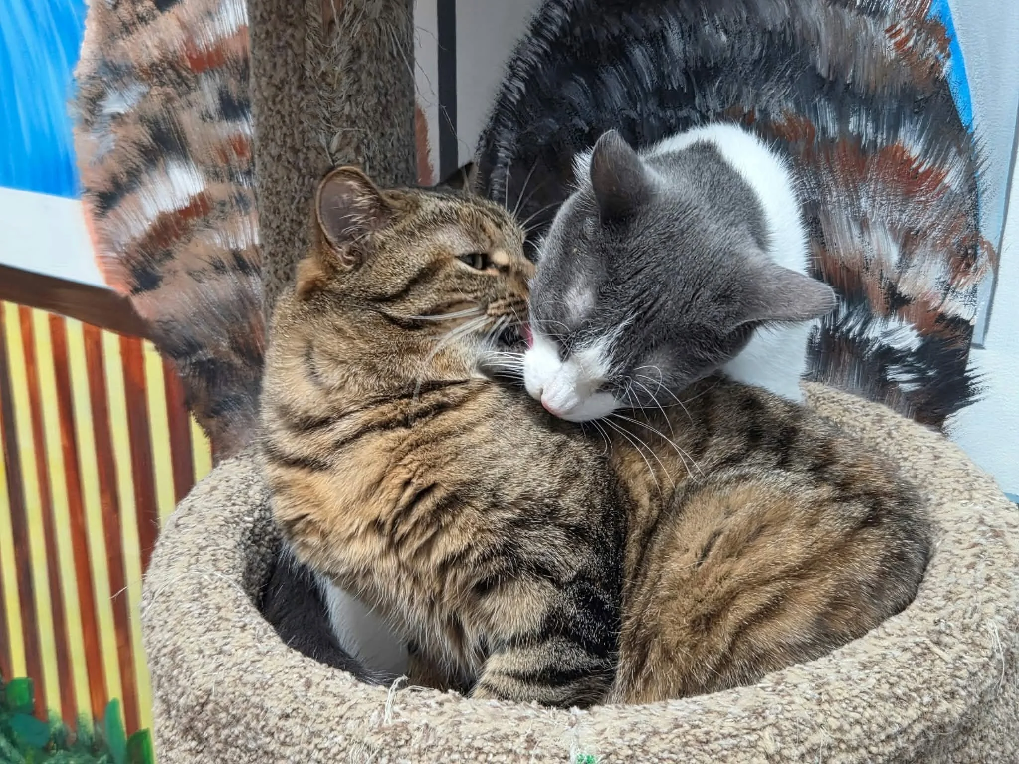 Diamond & Biscotti 2.jpg