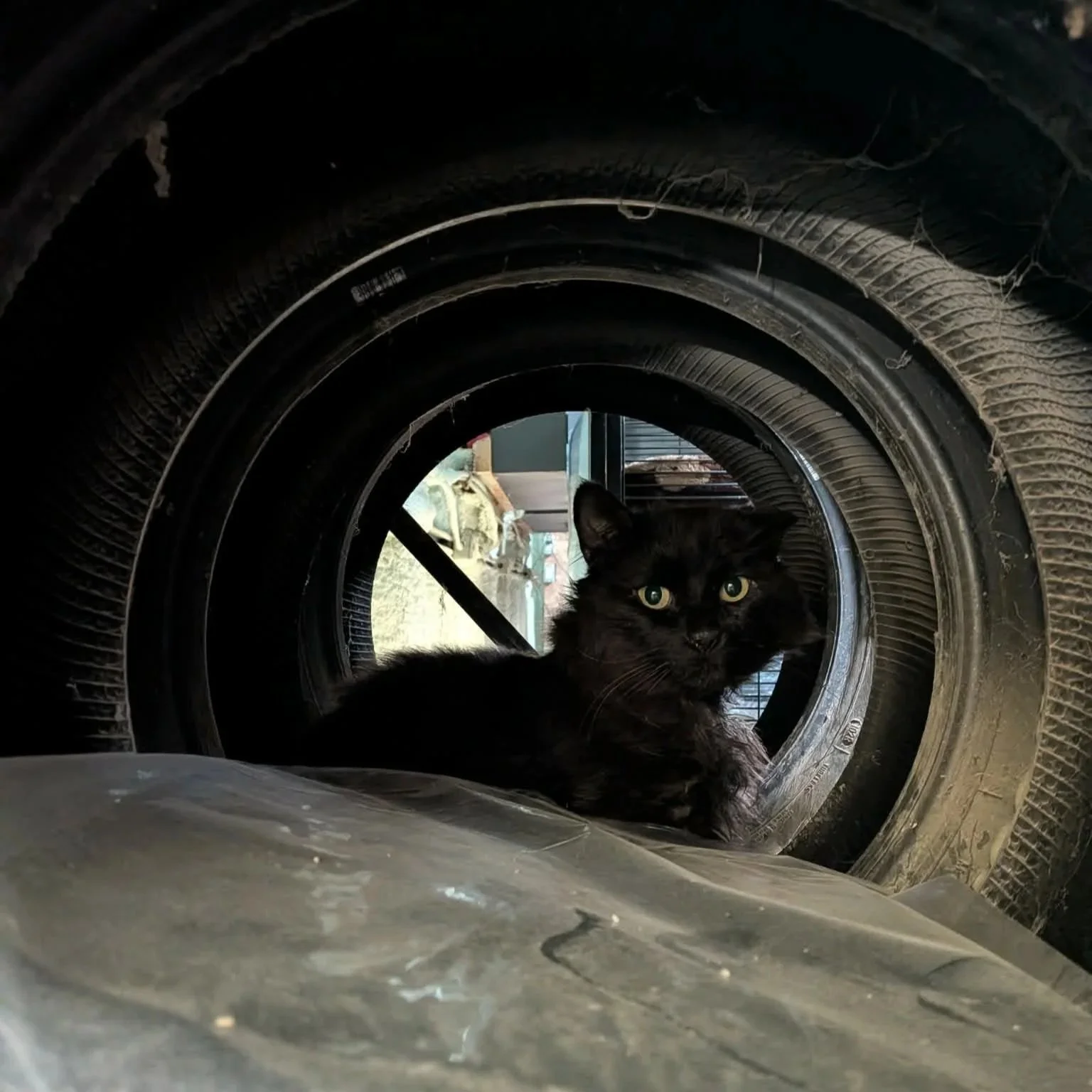 Diesel+3.jpg