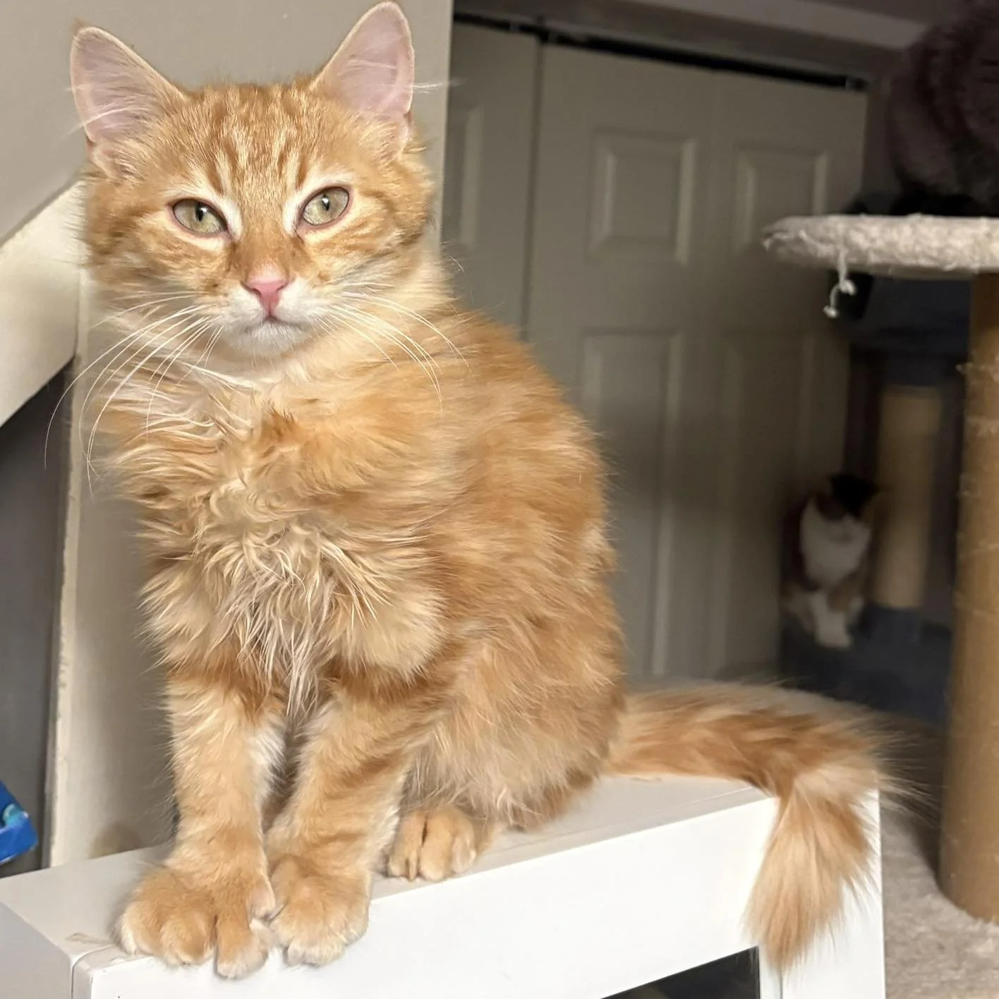 Walter 1.jpg