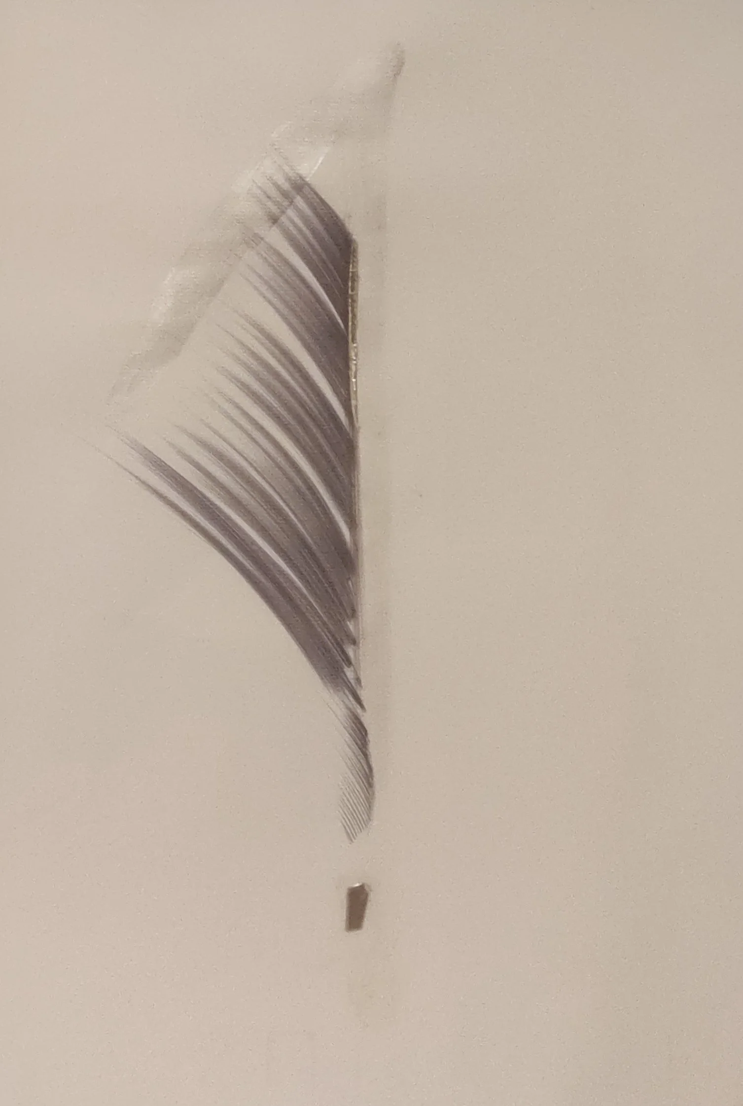 Primordial Spark IV