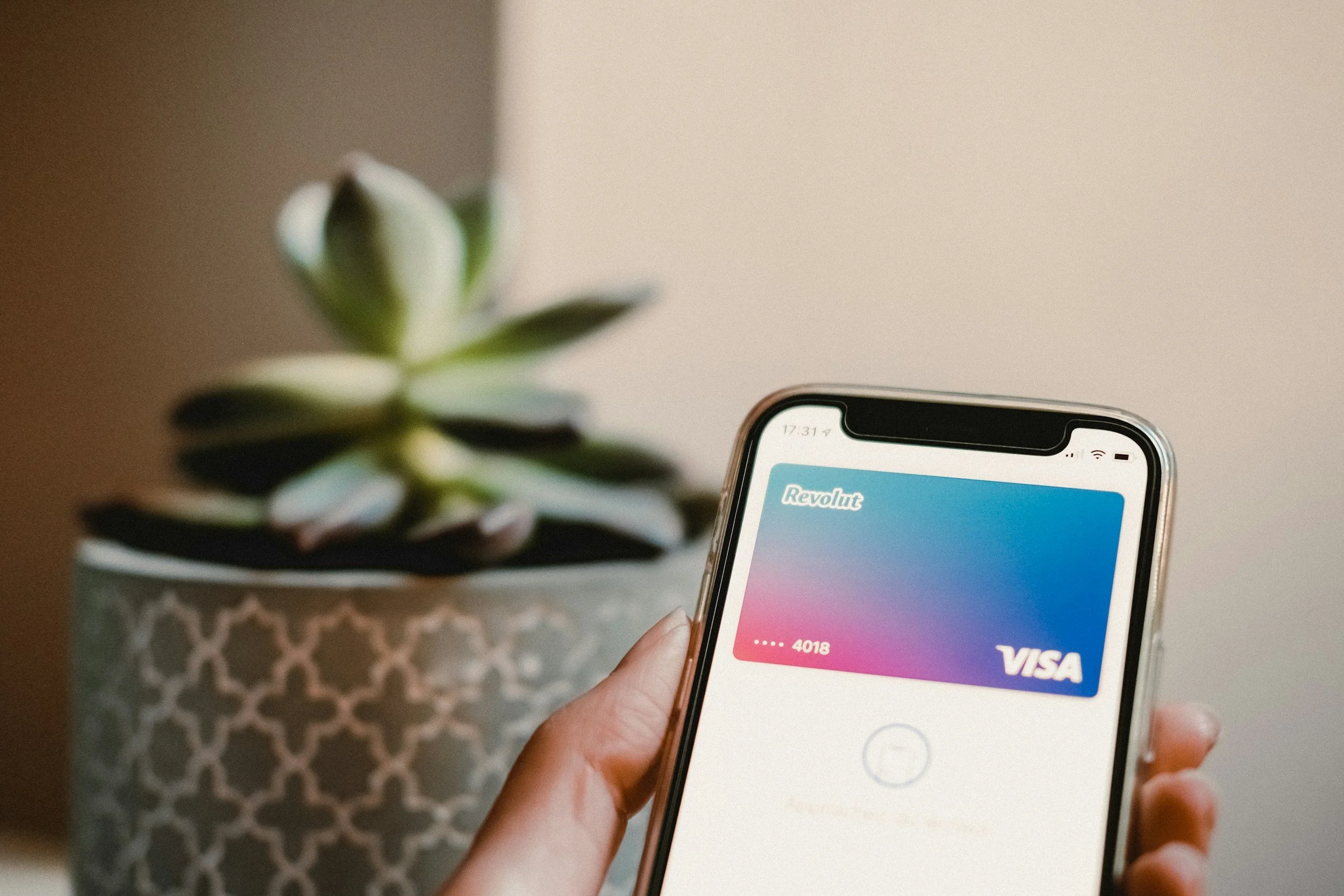 Person holding a smartphone with a Revolut Visa card displayed on the screen, in front of a potted succulent plant on a table.
