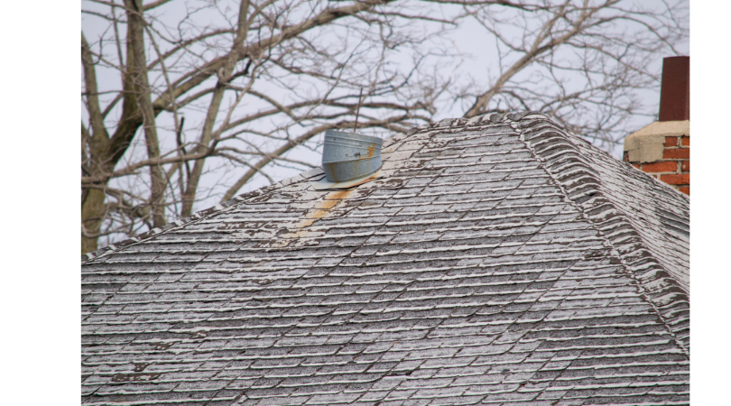 What causes black streaks on roofs - and how to remove them safely