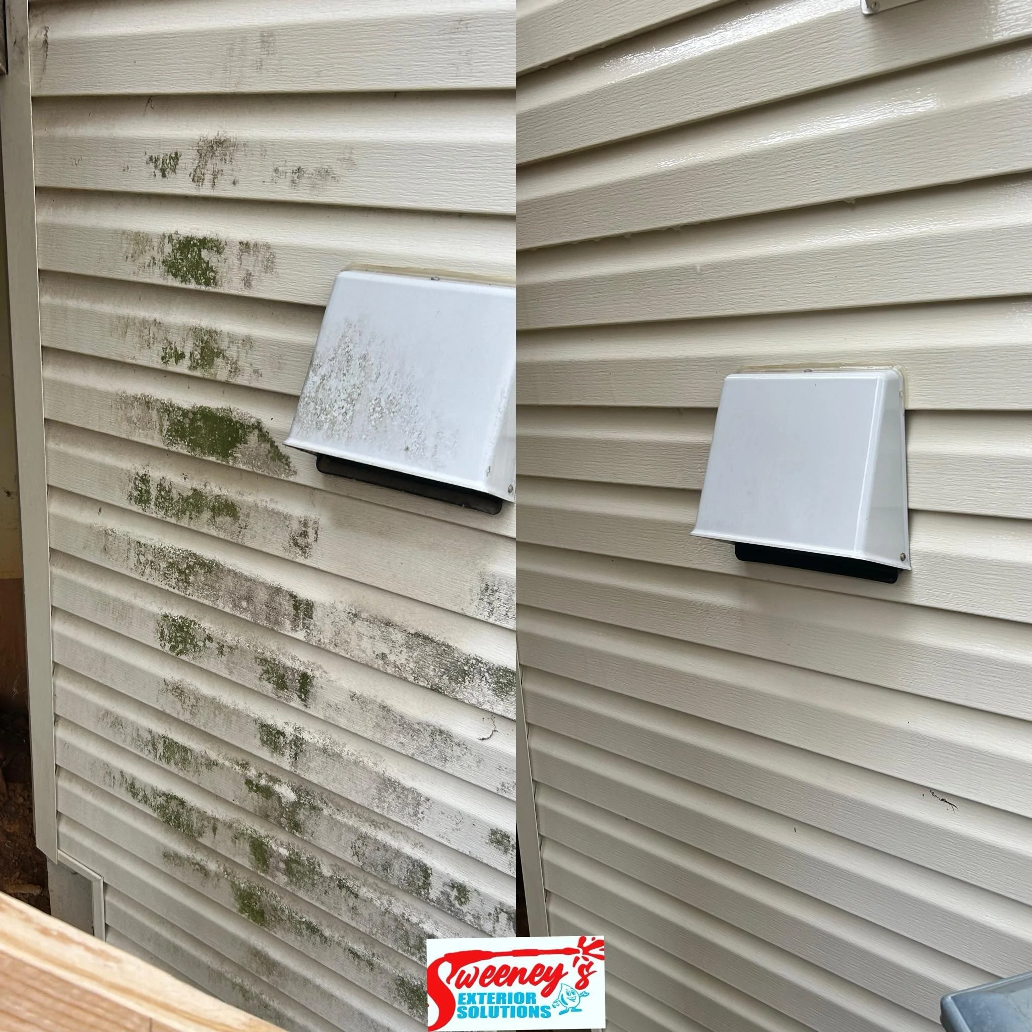 Side-by-side comparison of a house wall with dirty and cleaned siding, showing mold and mildew removal on the right.
