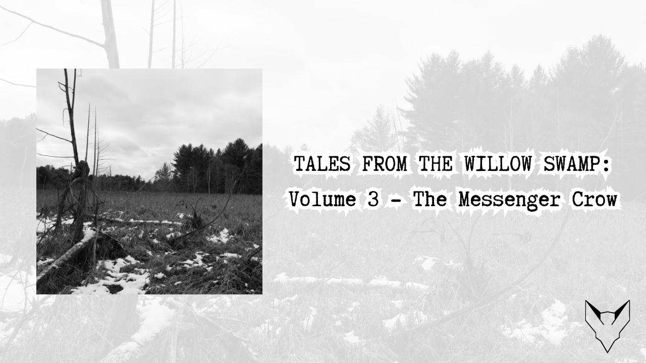 AUDIO ONLY VIDEOS (23).png