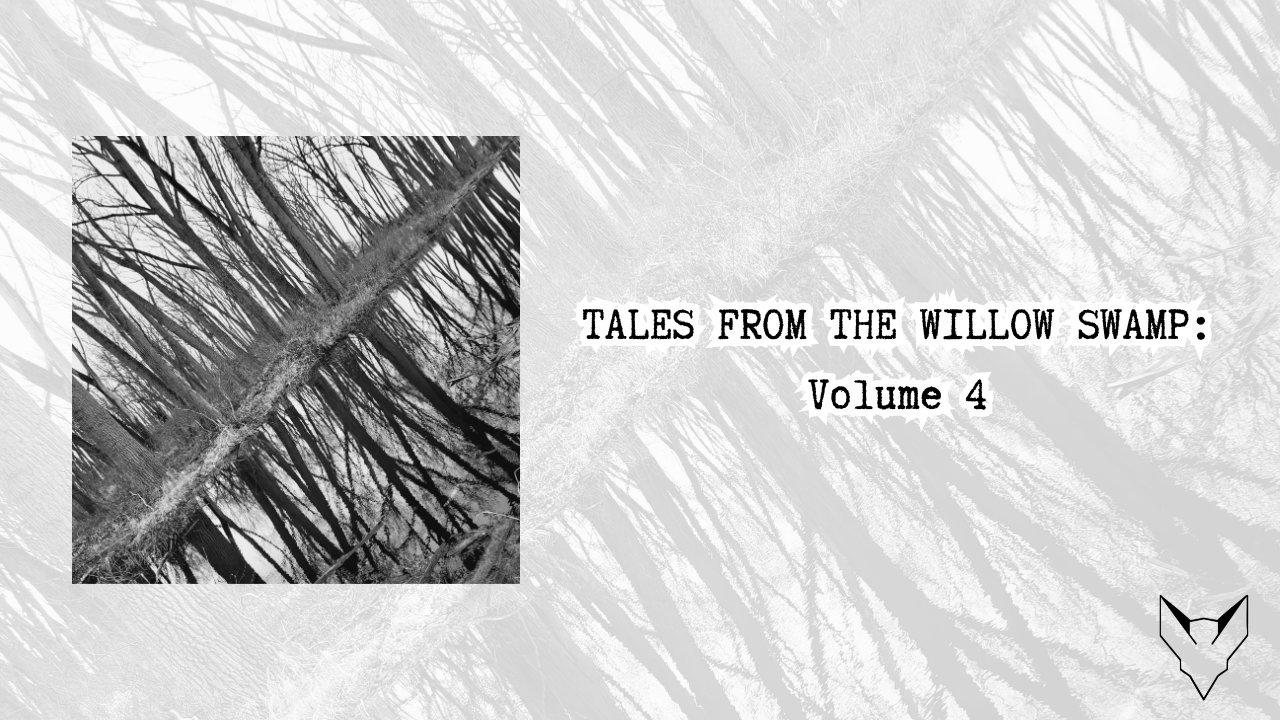 AUDIO ONLY VIDEOS (24).png