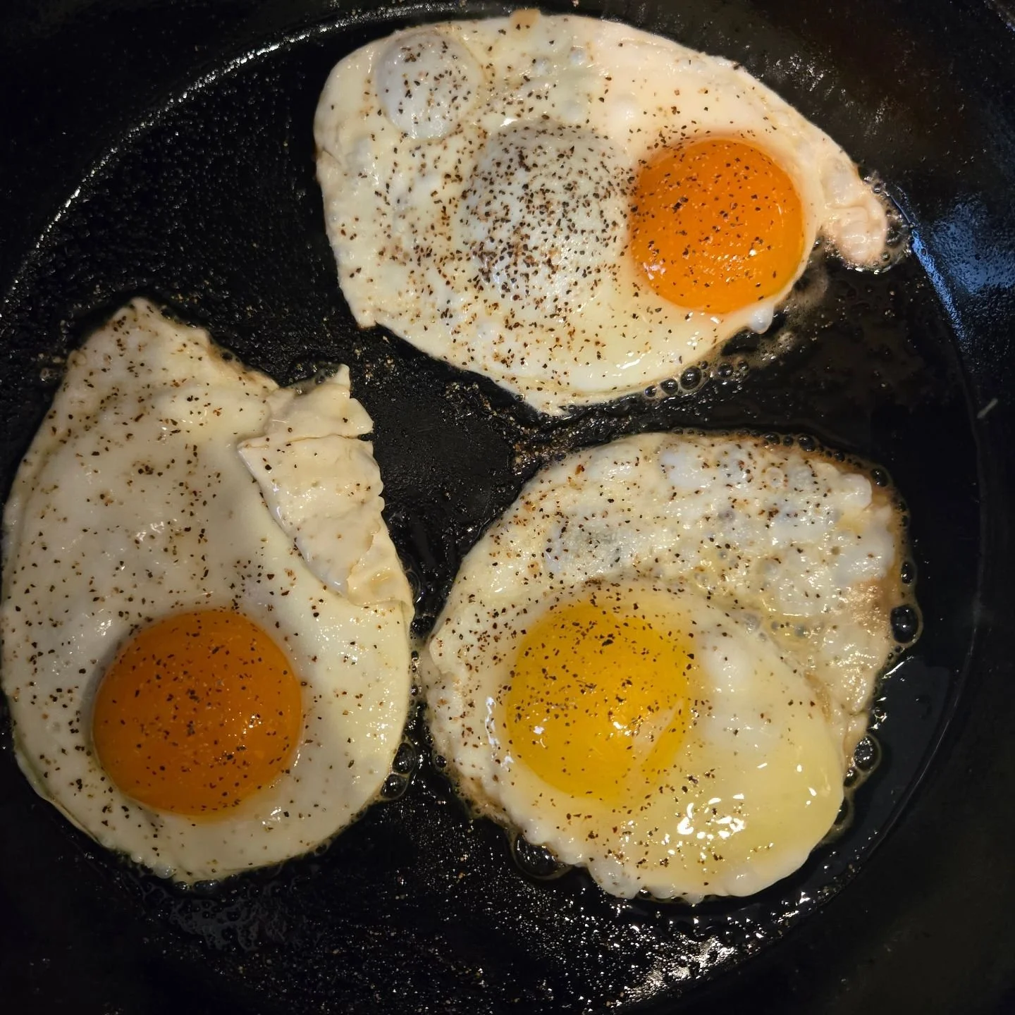 One of these eggs is not like the others. Two are farm fresh. One is not. It's disturbing to see the difference in a side by side comparison. The flavor profile is also different. Take a guess which is better? I'm not any sort of food police, but I d
